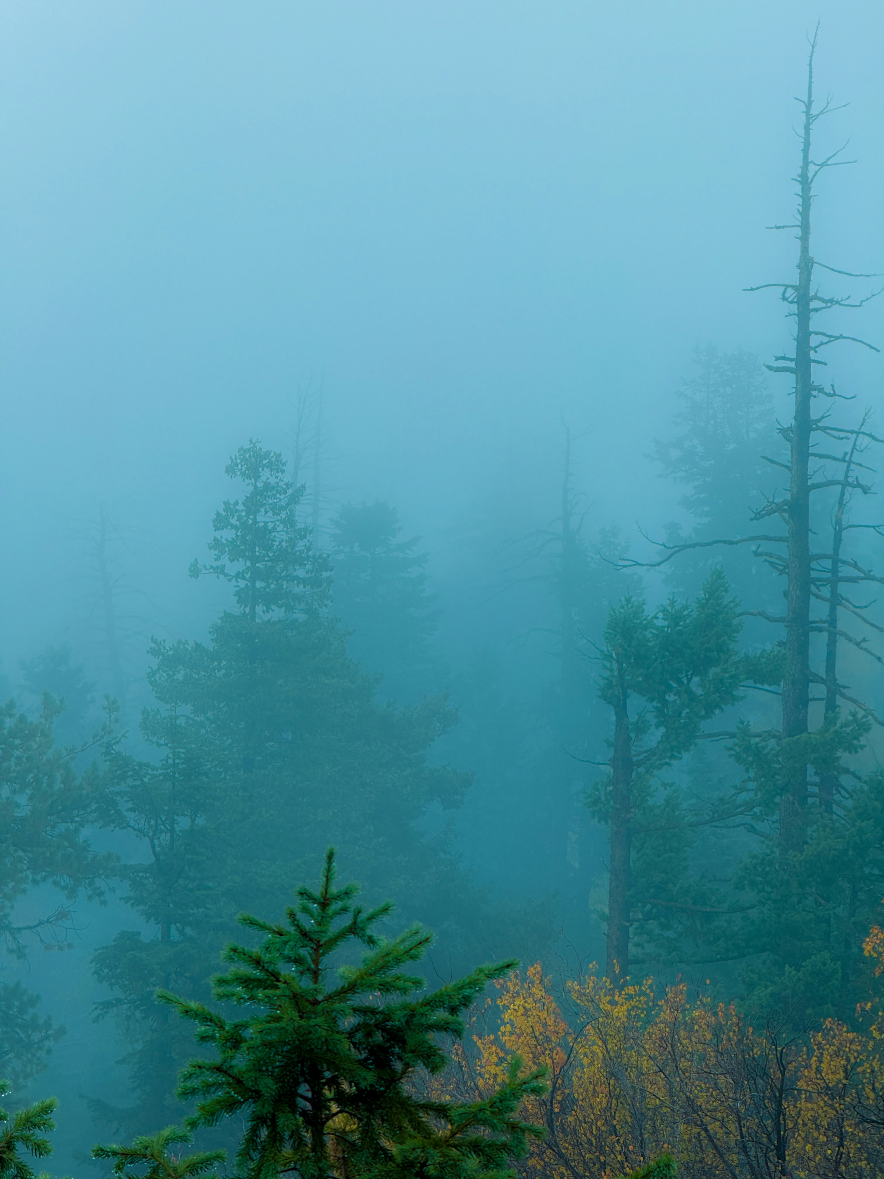 Photo by kaleb_fikes