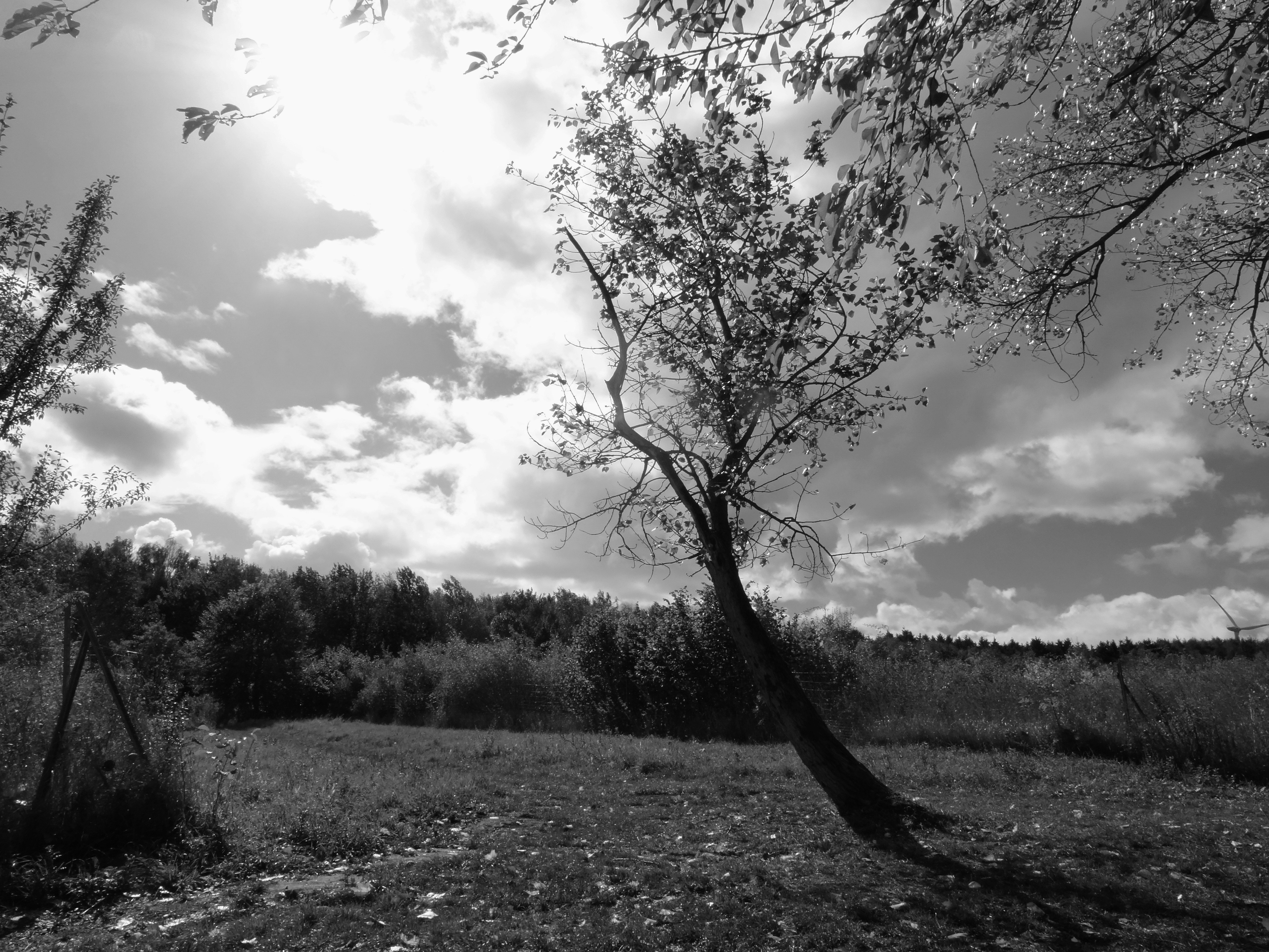 Photo by nikodemus777