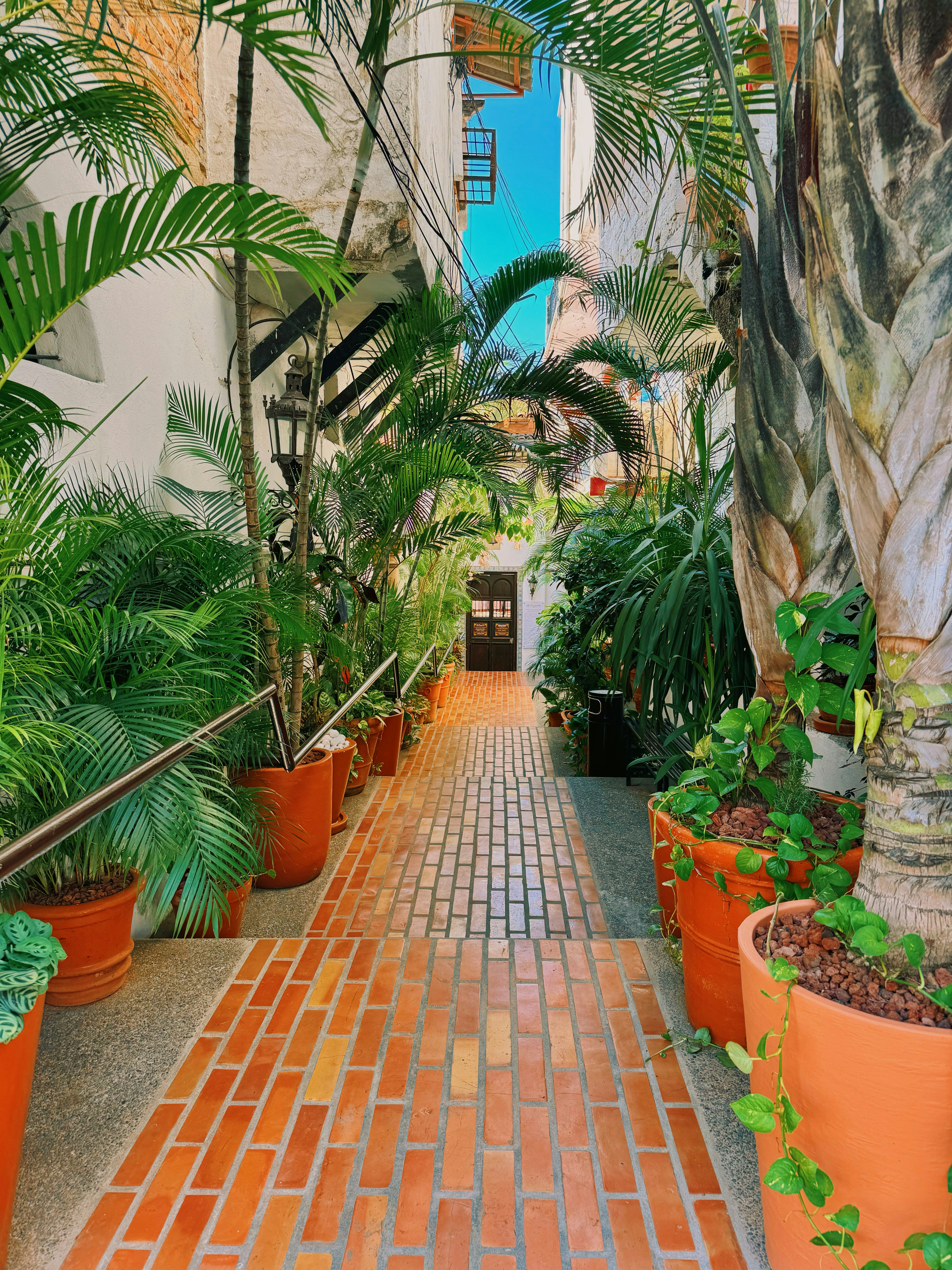 Photo by oceanscurrent