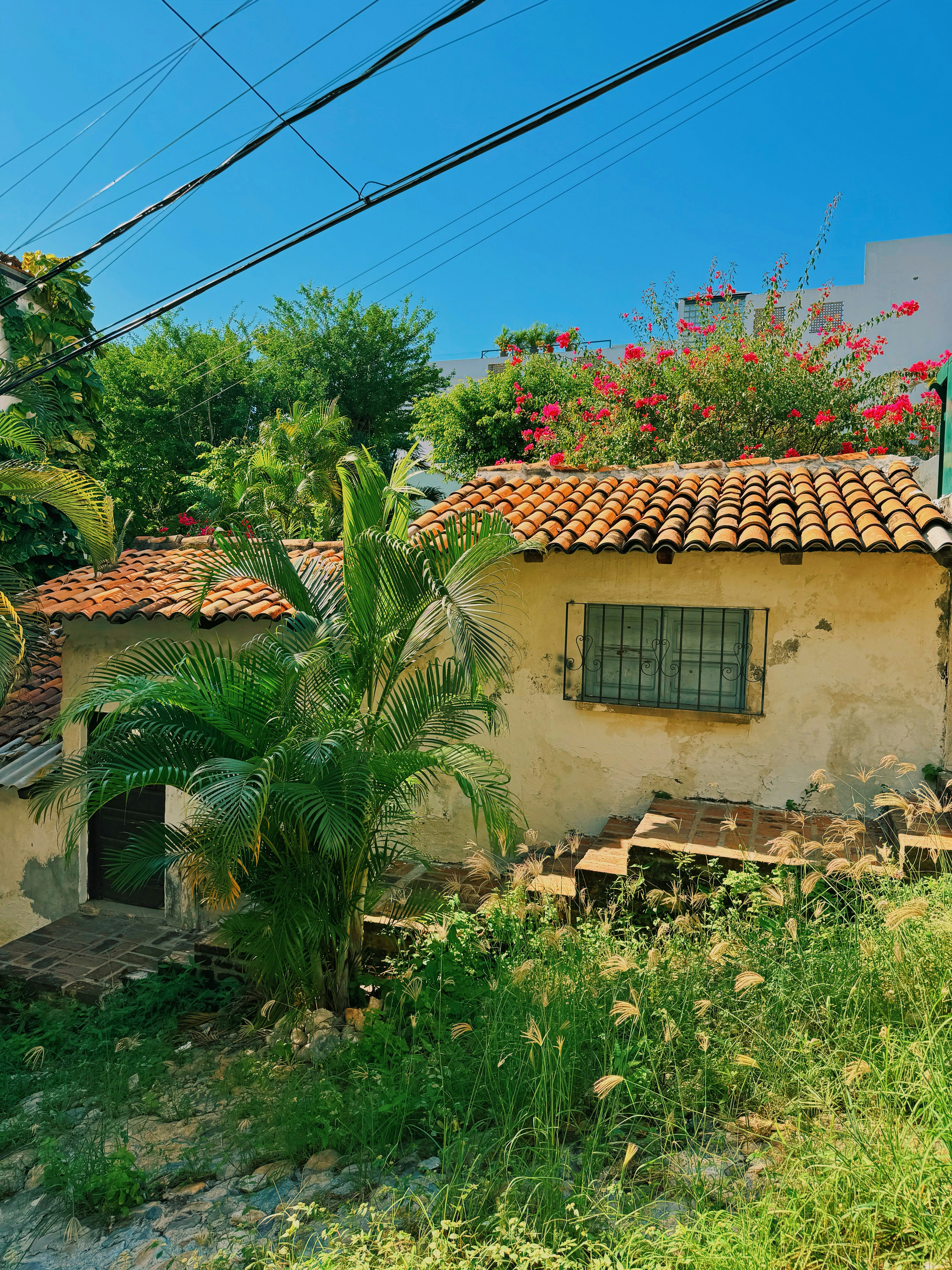 Photo by oceanscurrent