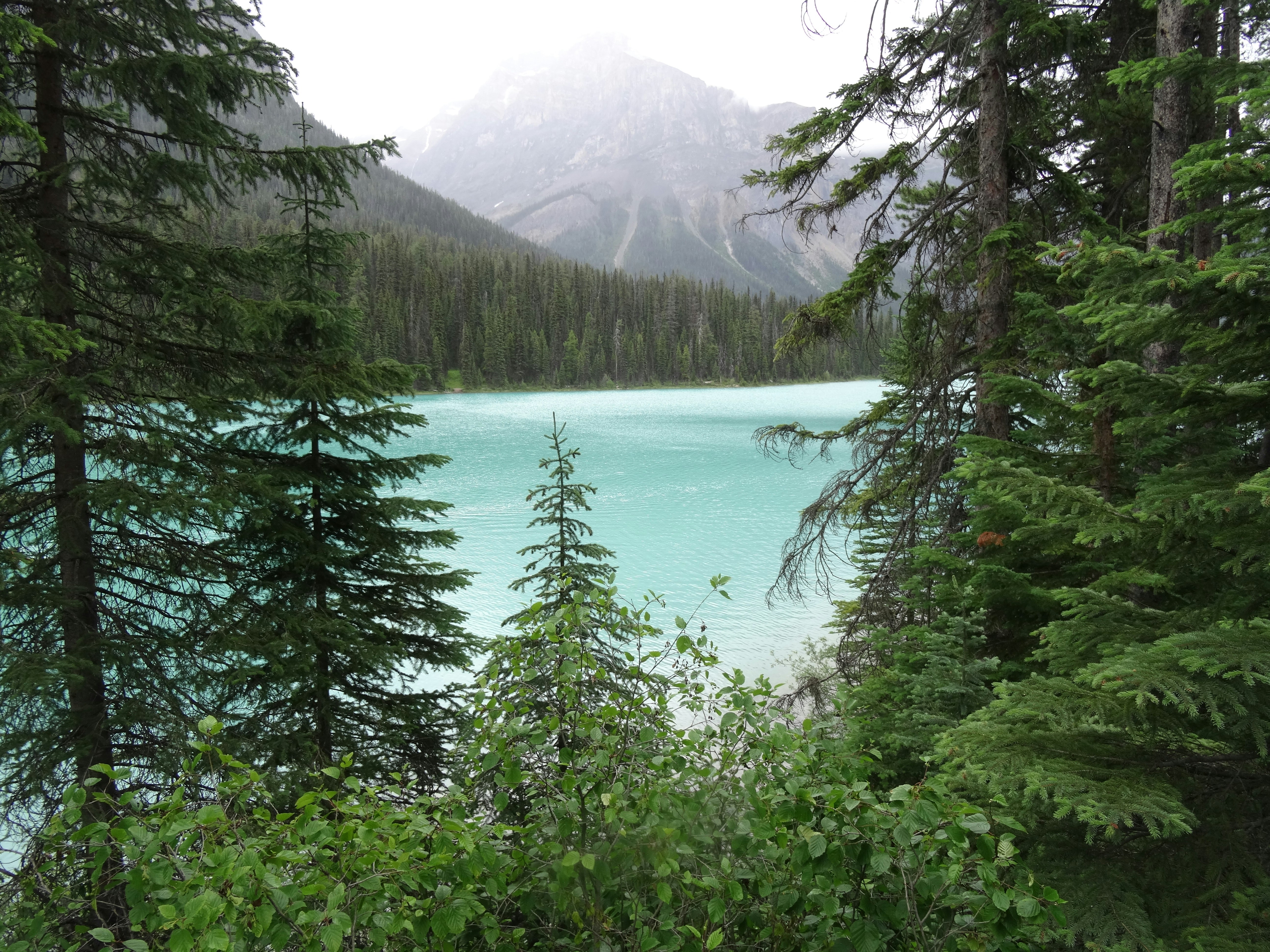 Turquoise lake surrounded by pine trees and mountains.