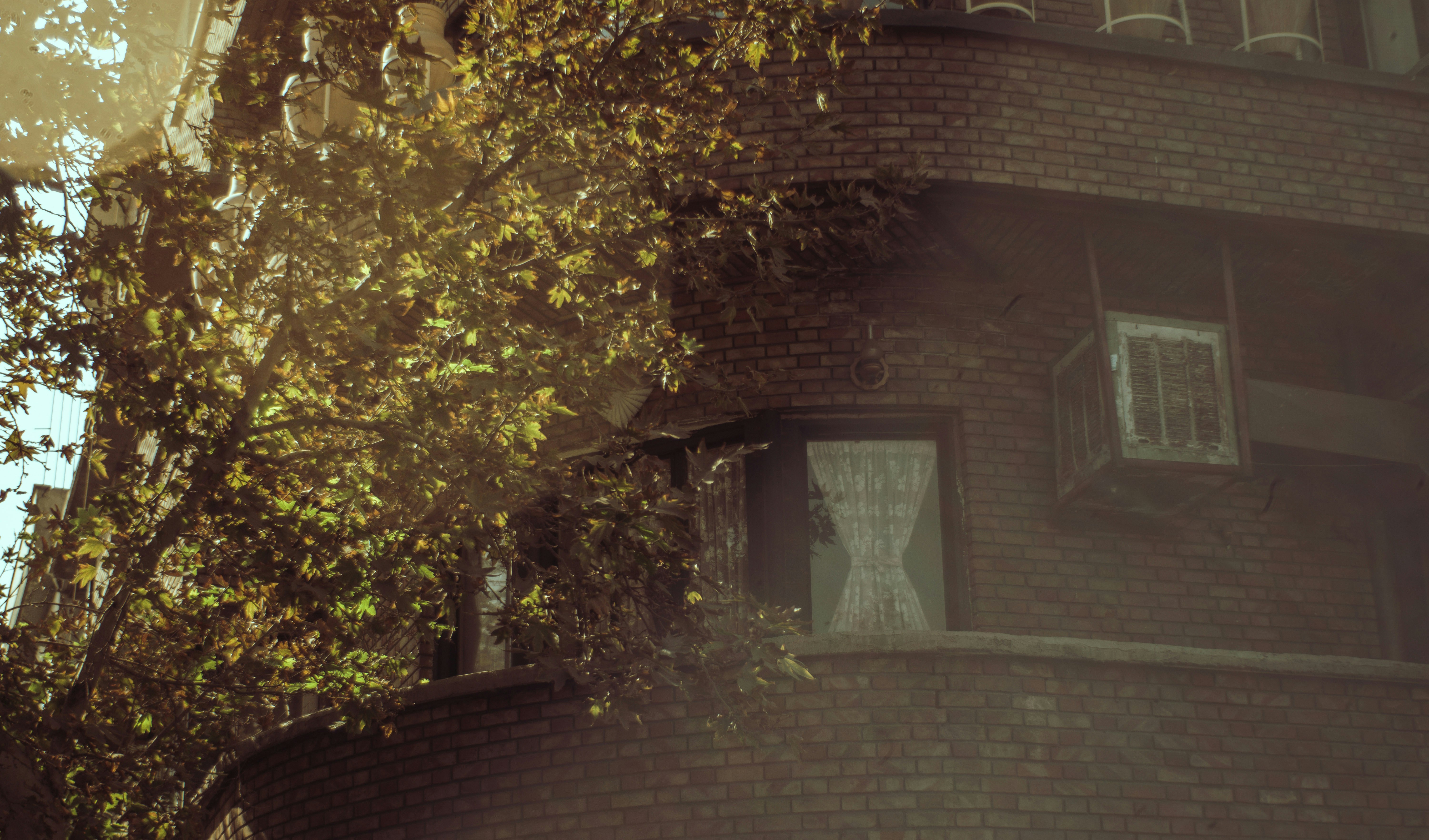 Photo by mdrezajalali