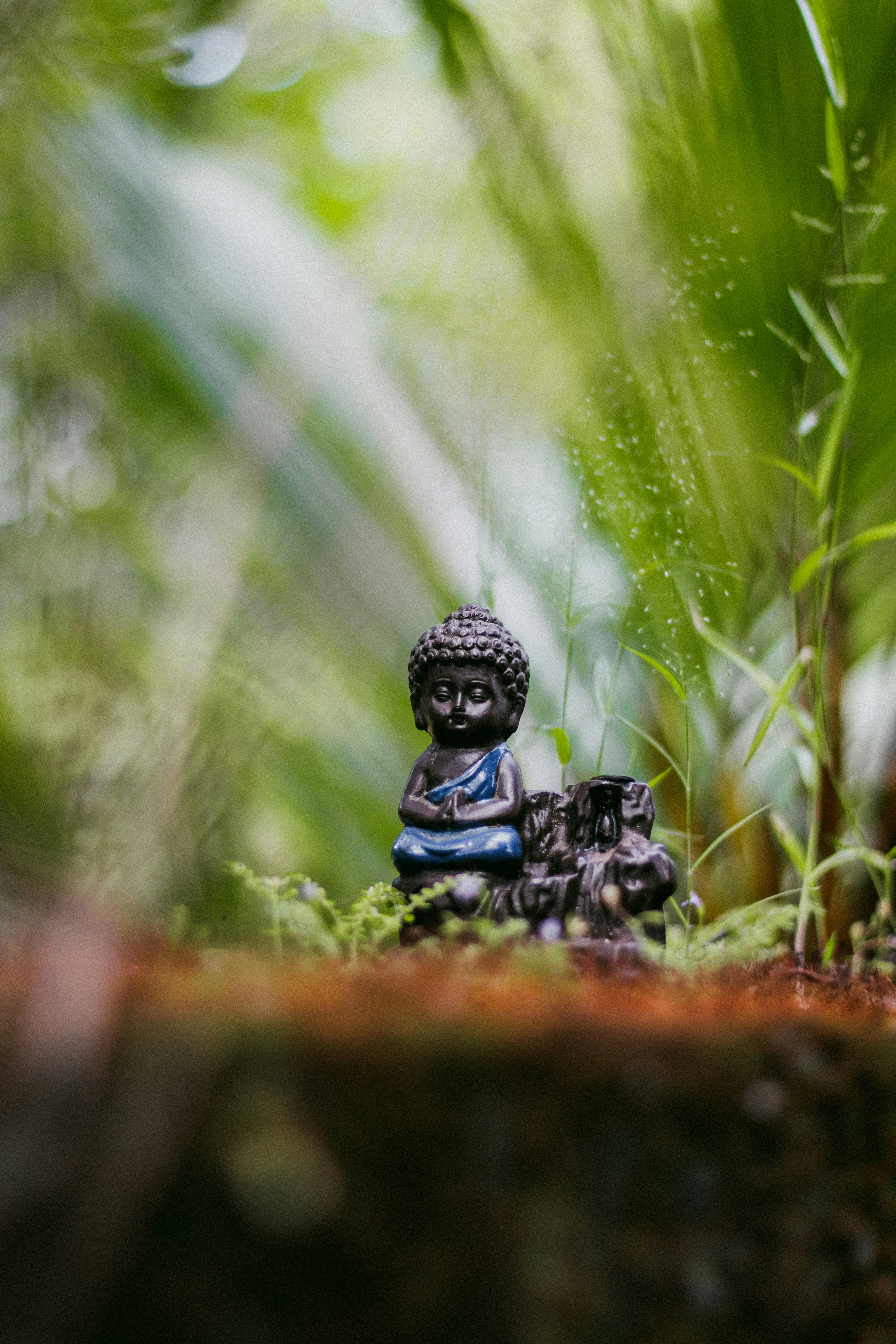 Photo by vishnukalanad