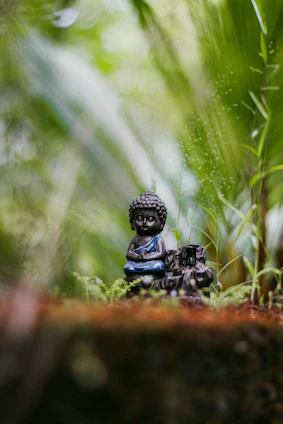 Small buddha statue sits in lush green foliage.