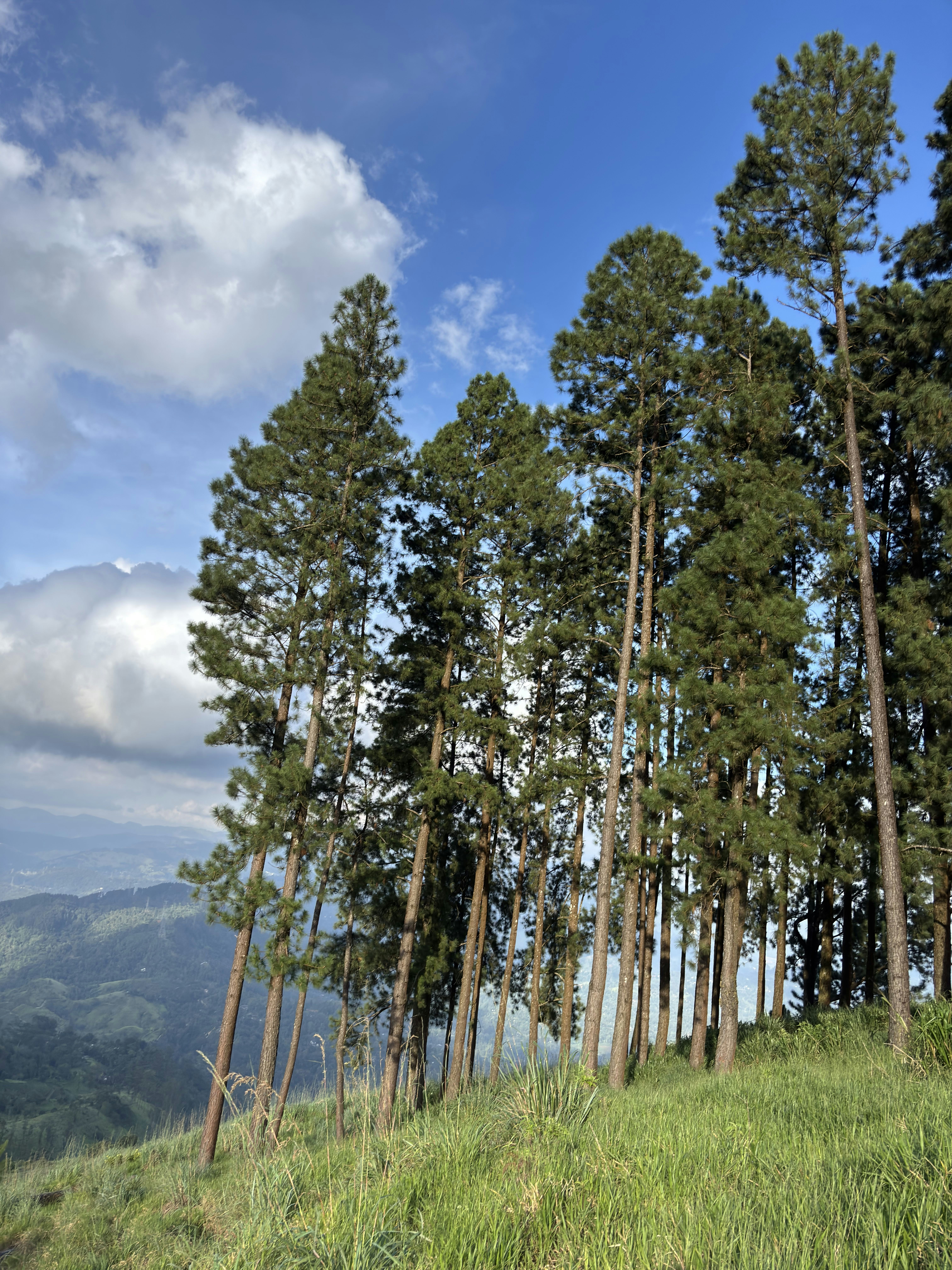 Photo by sanurasihath