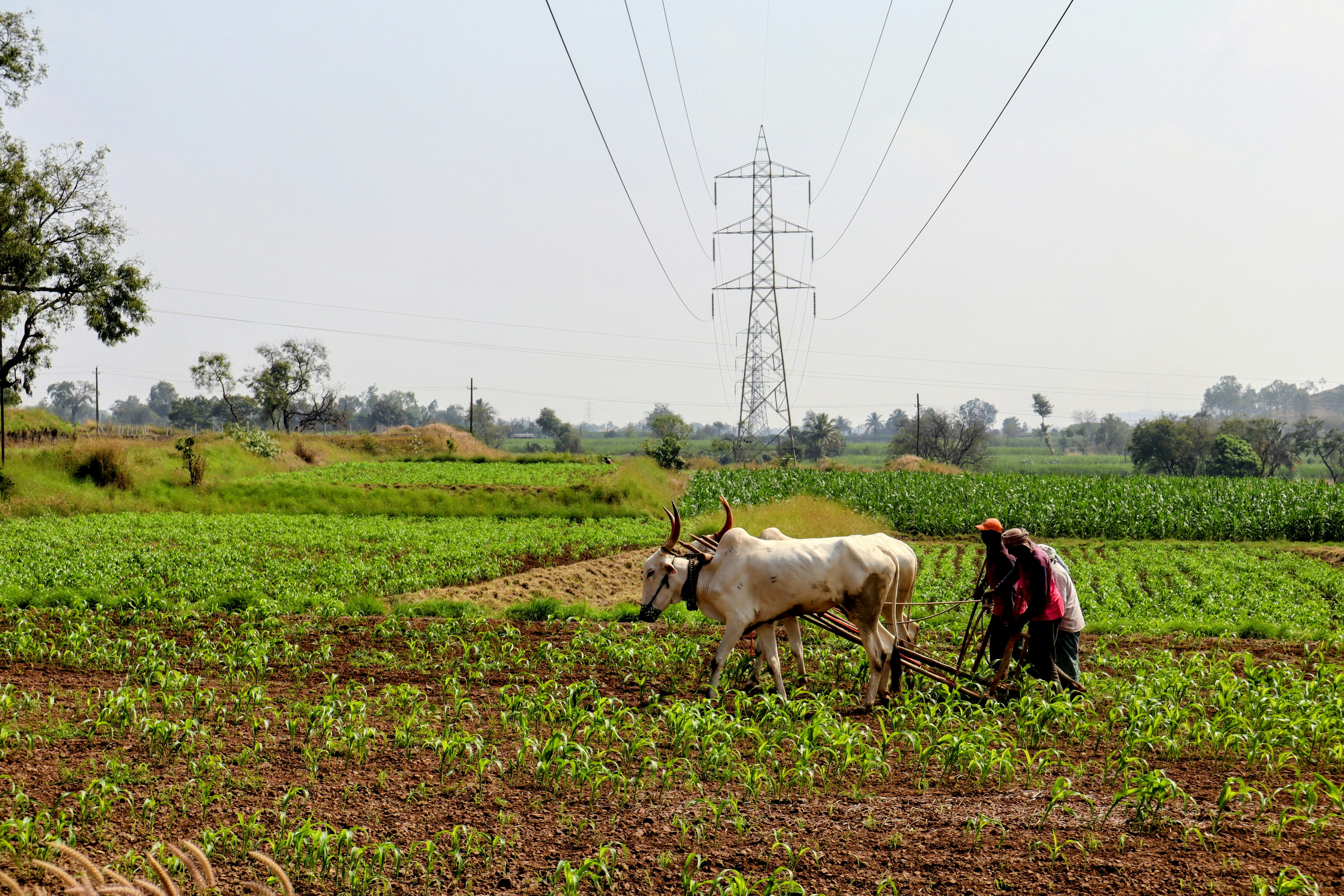 Photo by anjoepaulwayanad