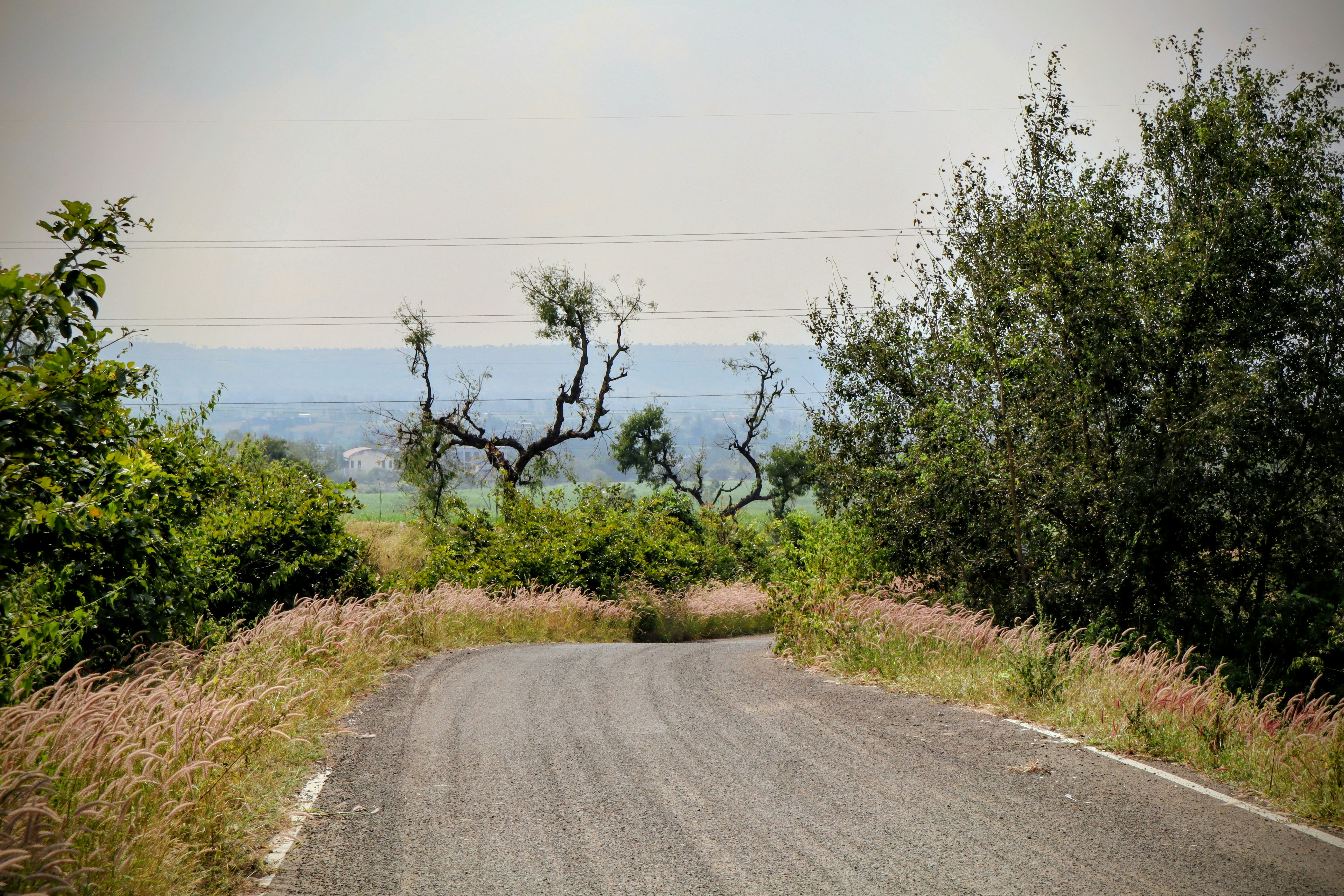 A winding road through a green landscape