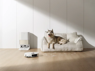 Husky dog rests on couch near robot vacuum cleaner