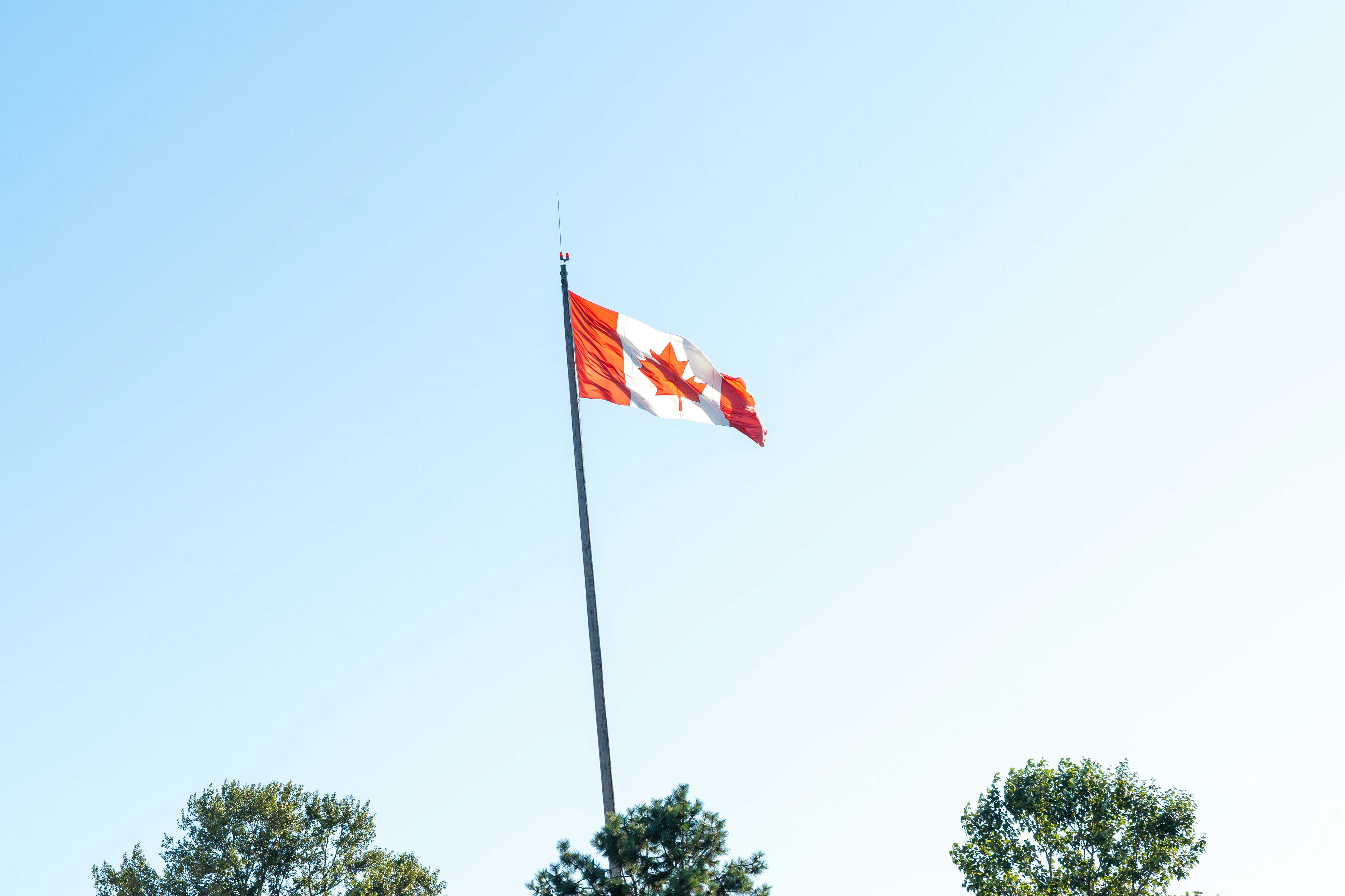 A split image or montage. On one side, a solemn Indian diplomat at a desk. On the other, a blurry protest scene with some indistinct placards, representing the difficult environment diplomats might face.
