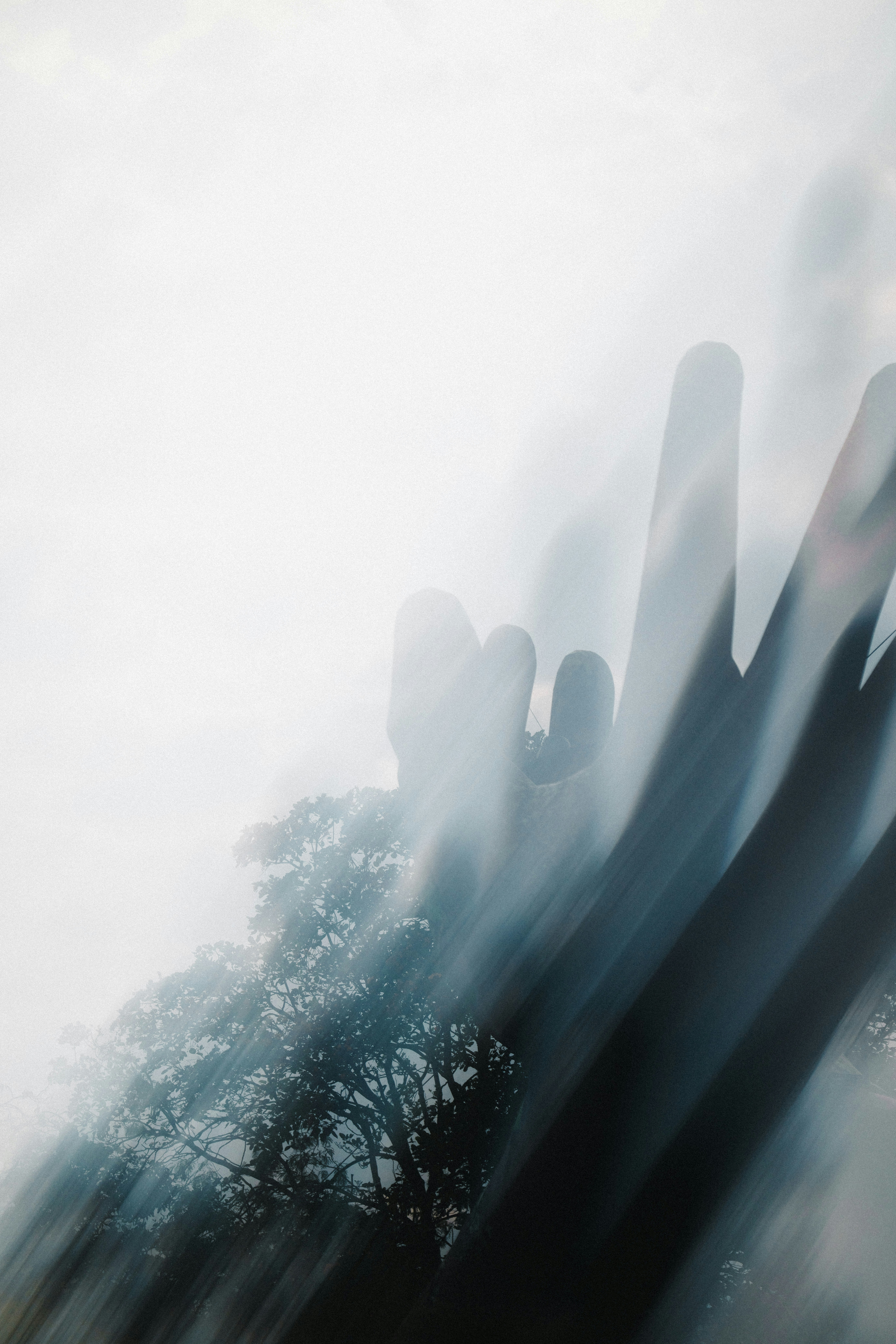 Double exposition de cactus saguaro et d’arbres