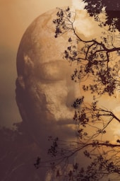 singularité atypique