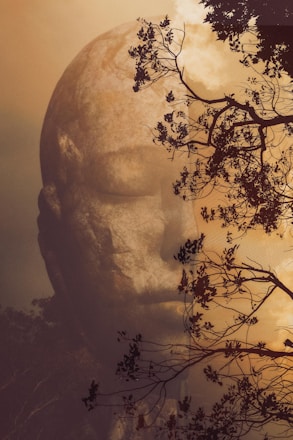 singularité atypique