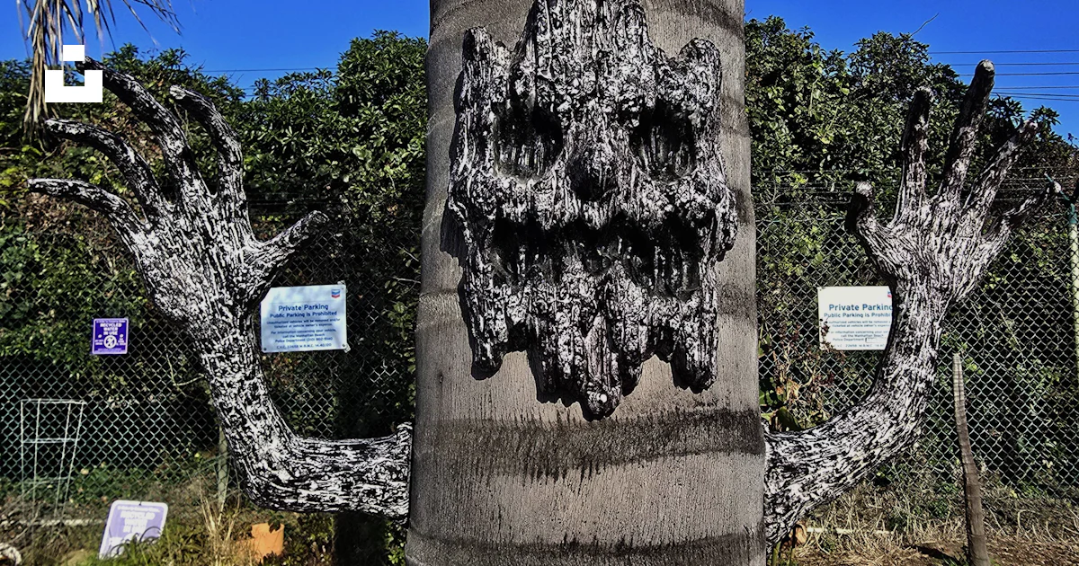 Tree Trunki Tree trunk with a carved face and outstretched arms - Free Photo on ...