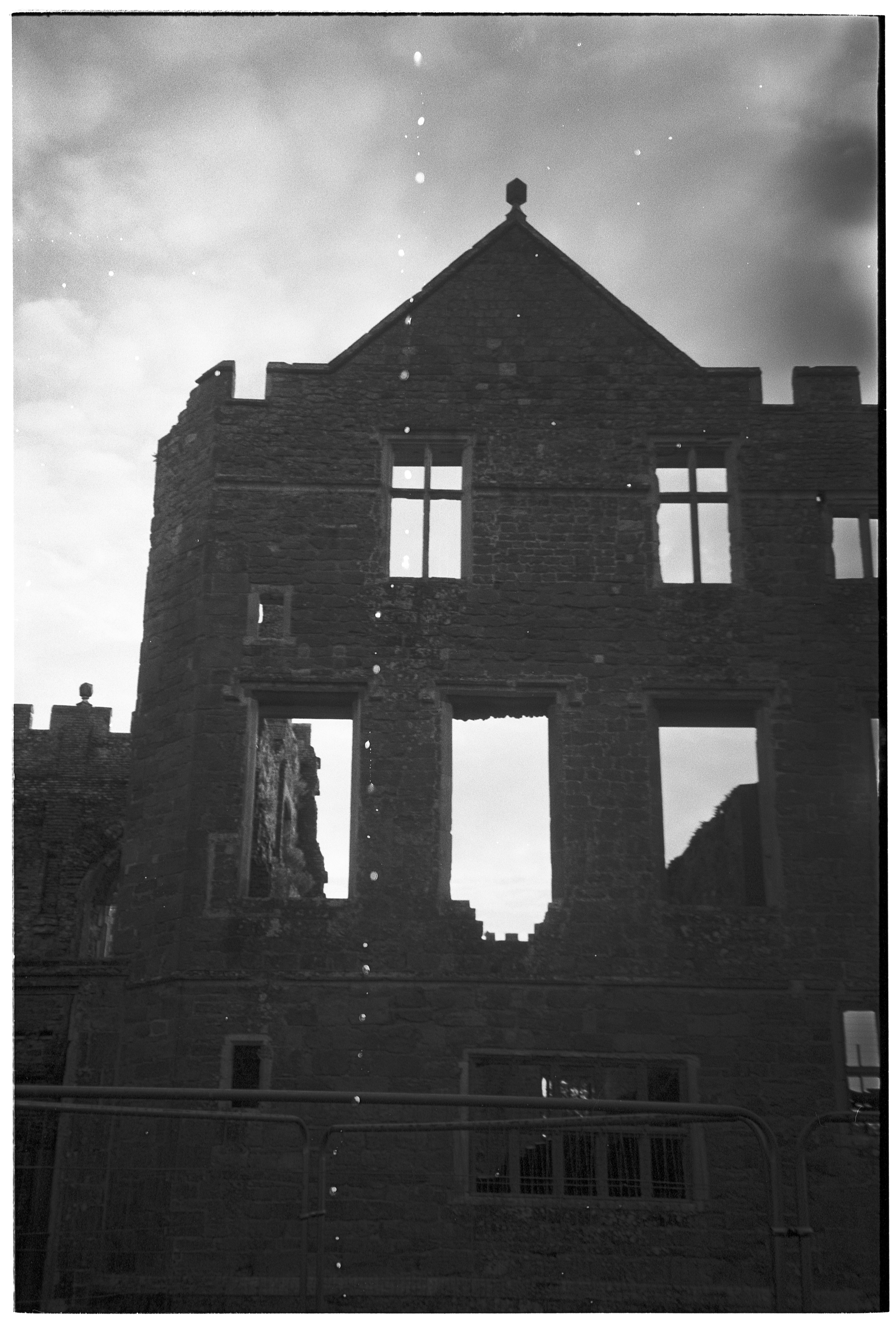 Photo by tanyabarrow