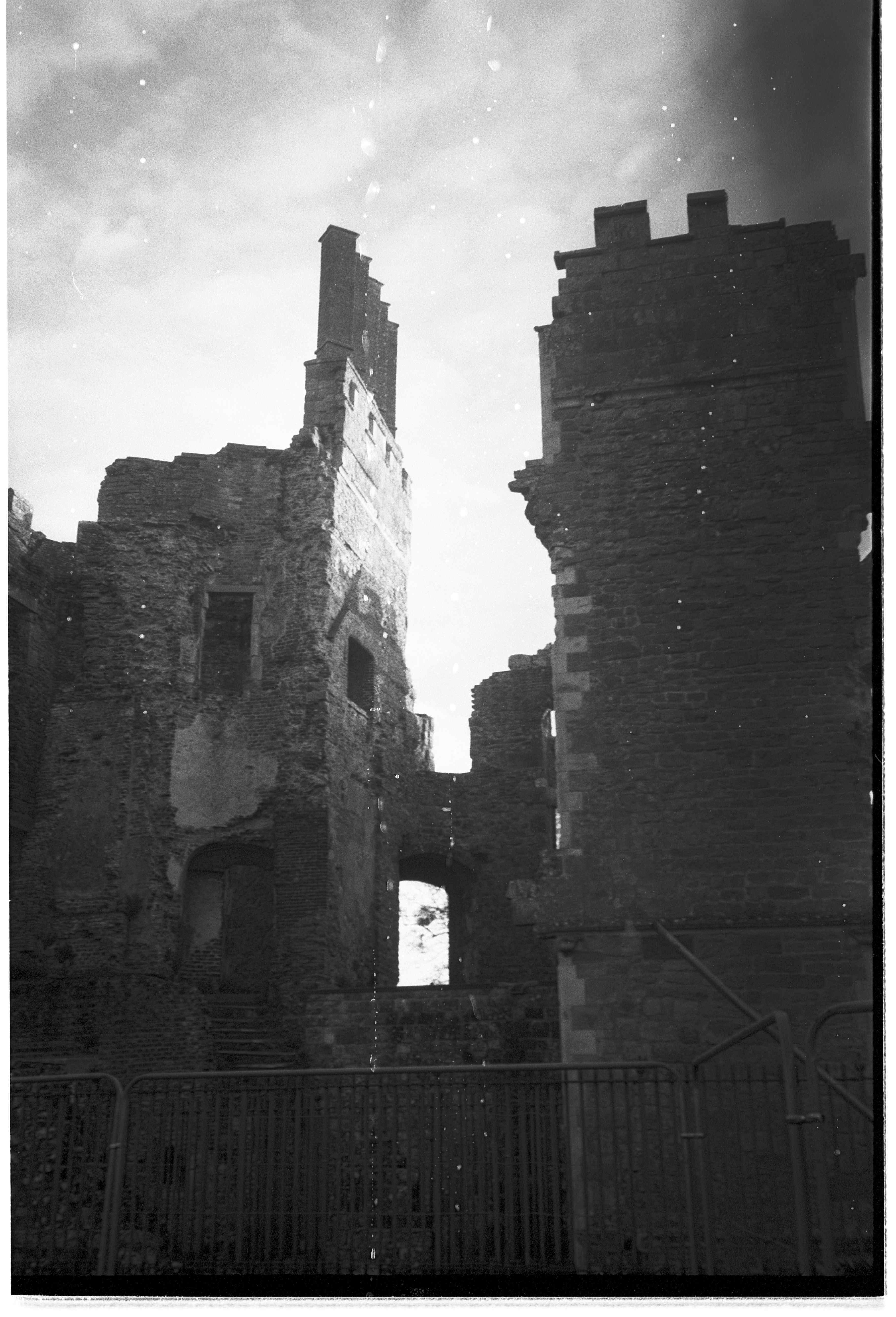 Photo by tanyabarrow