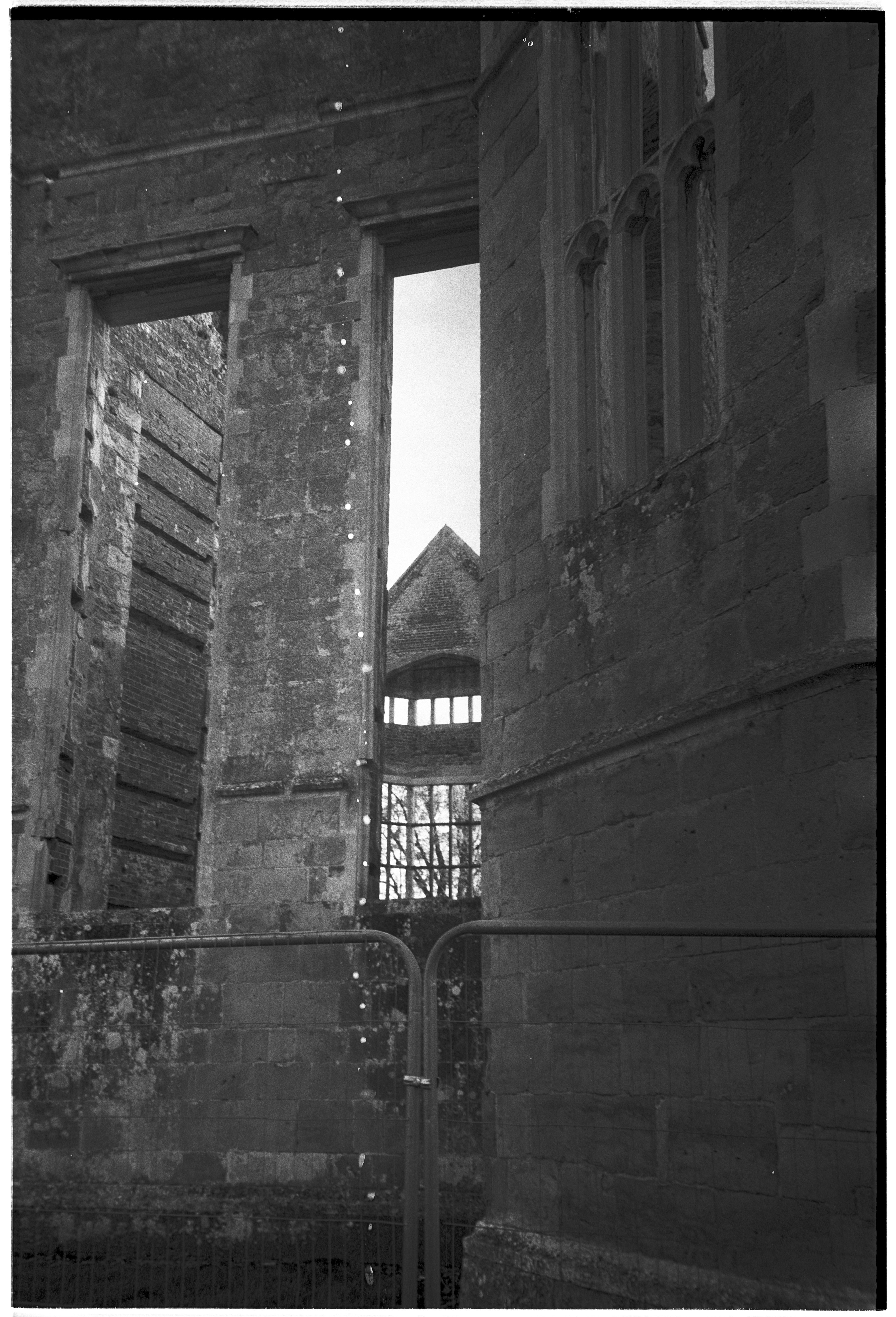 Photo by tanyabarrow