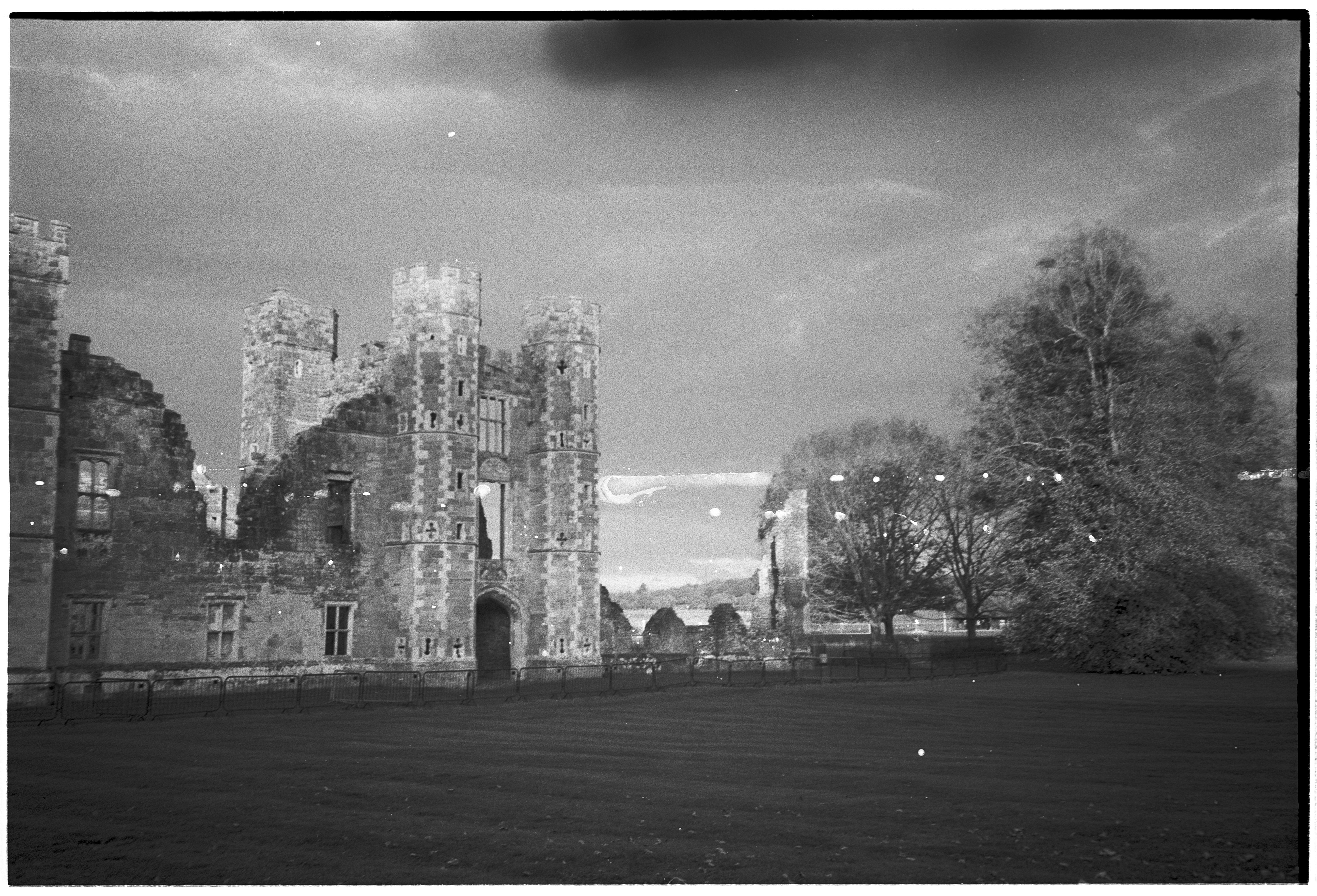 Photo by tanyabarrow