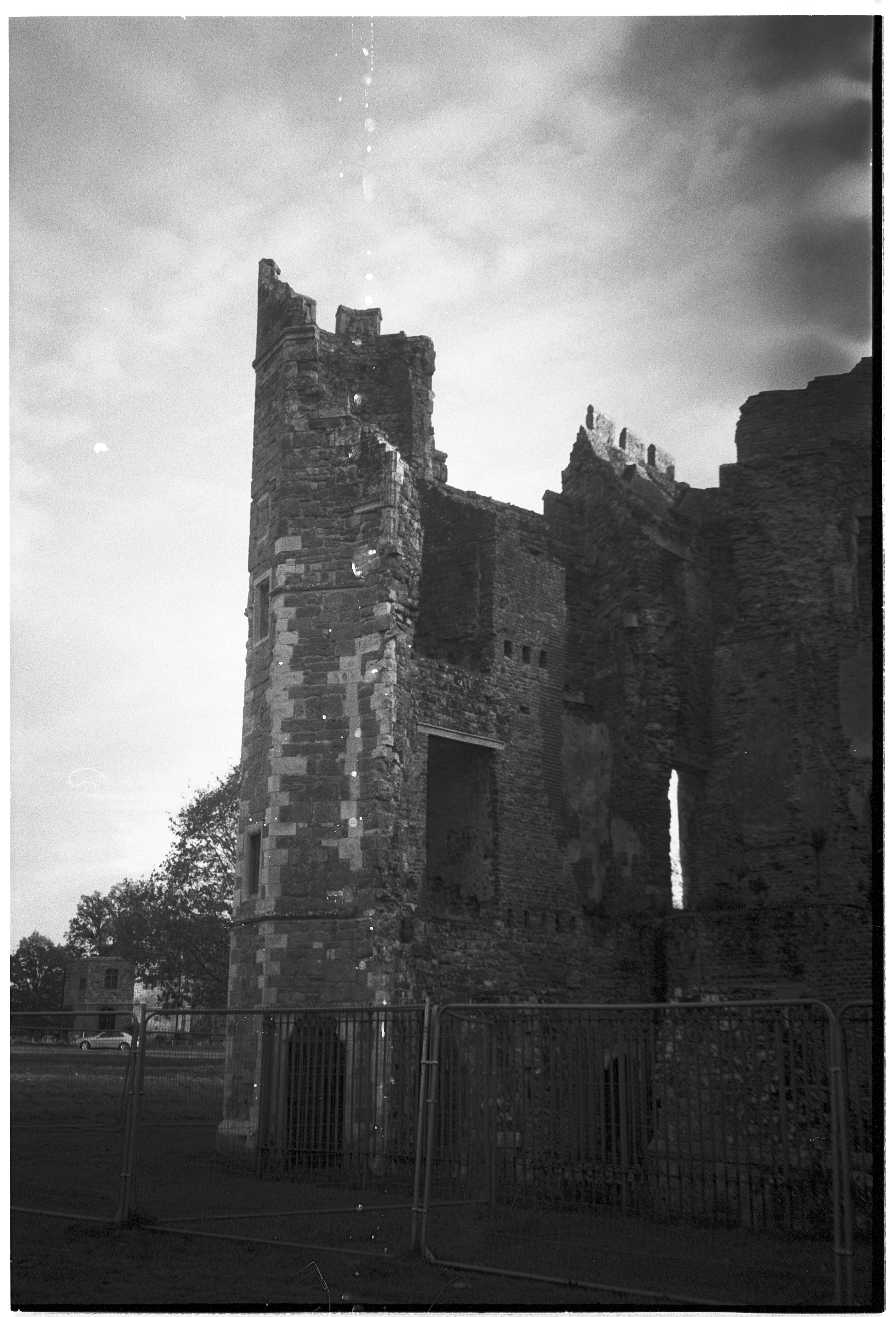 Photo by tanyabarrow