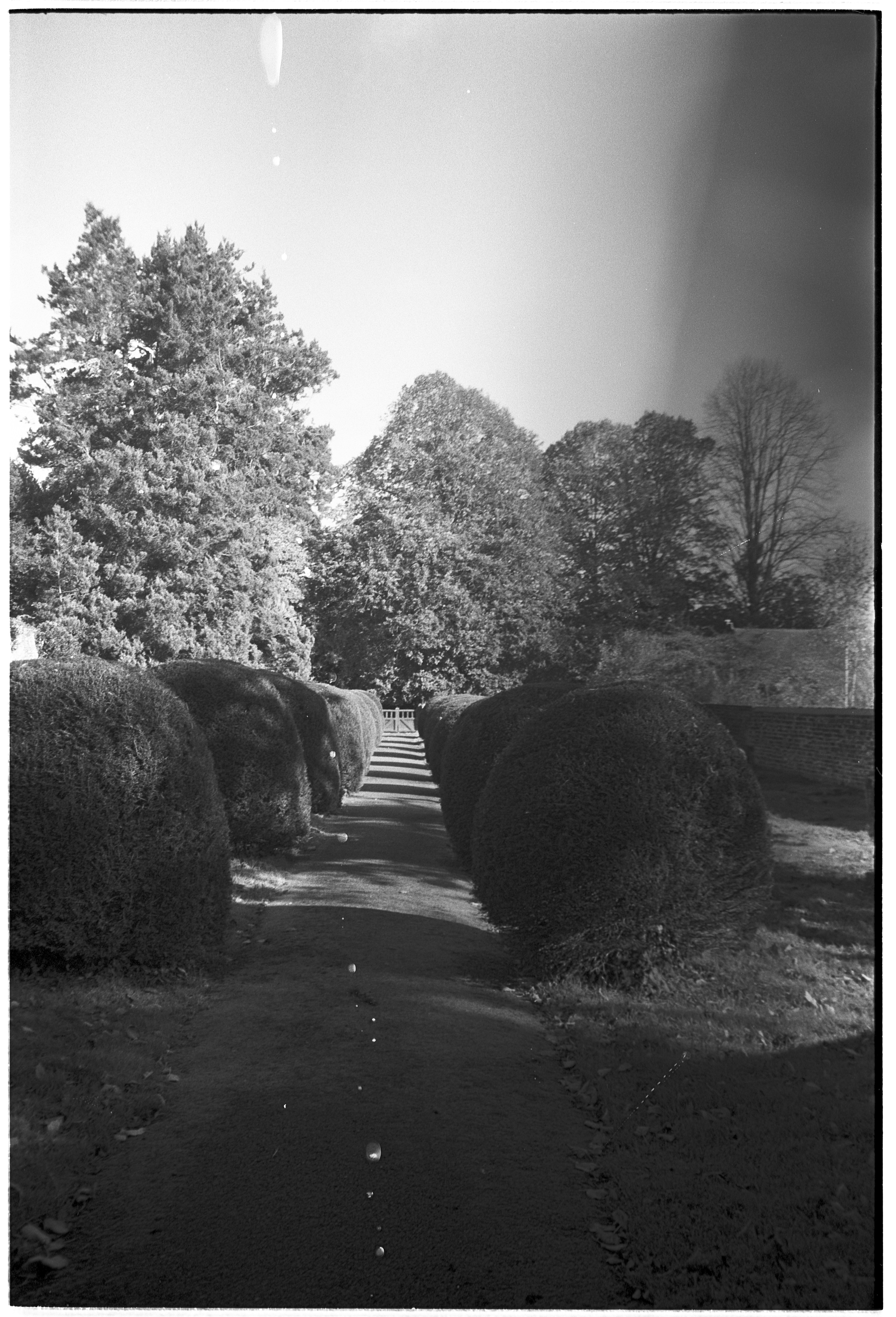 Photo by tanyabarrow