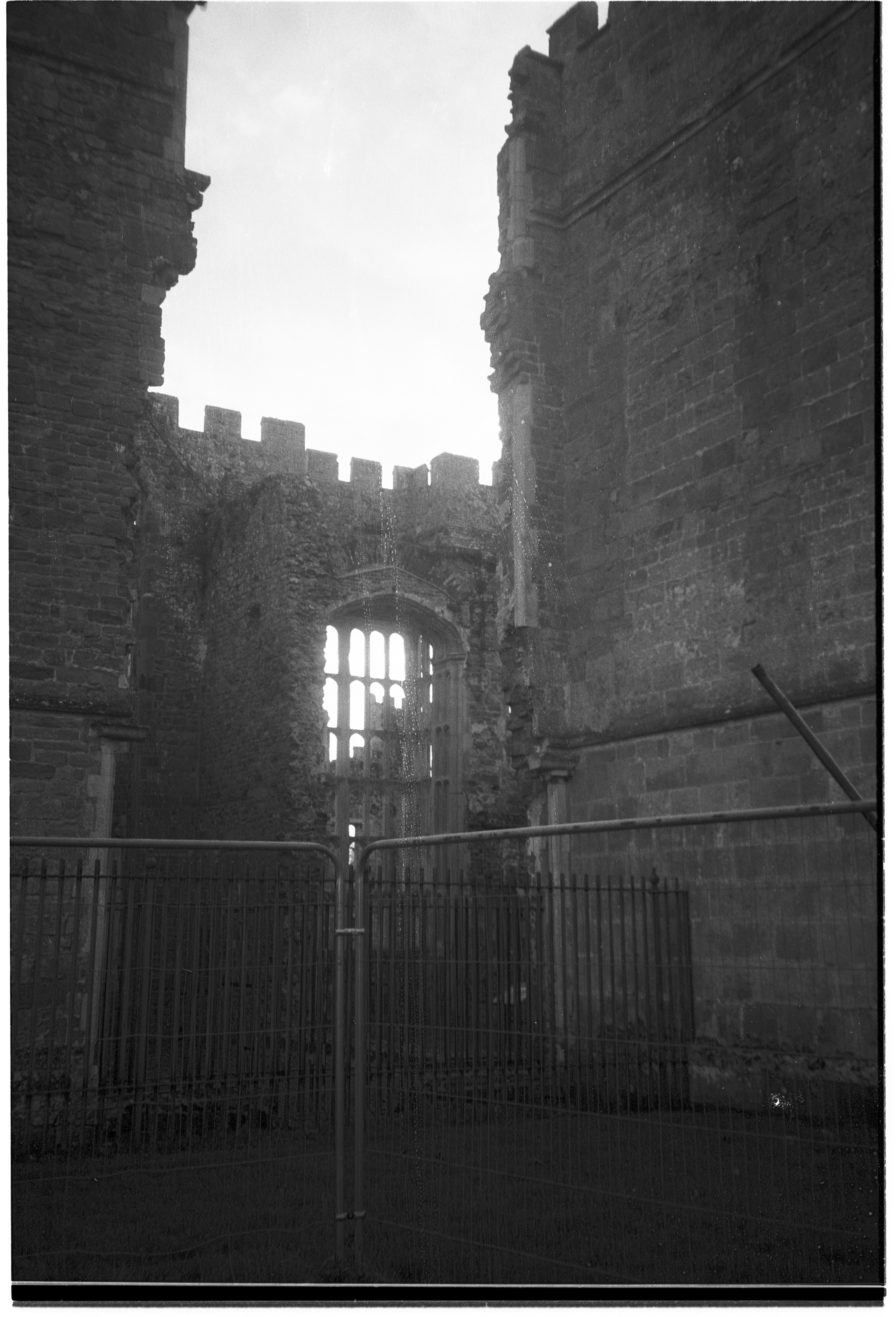 Photo by tanyabarrow