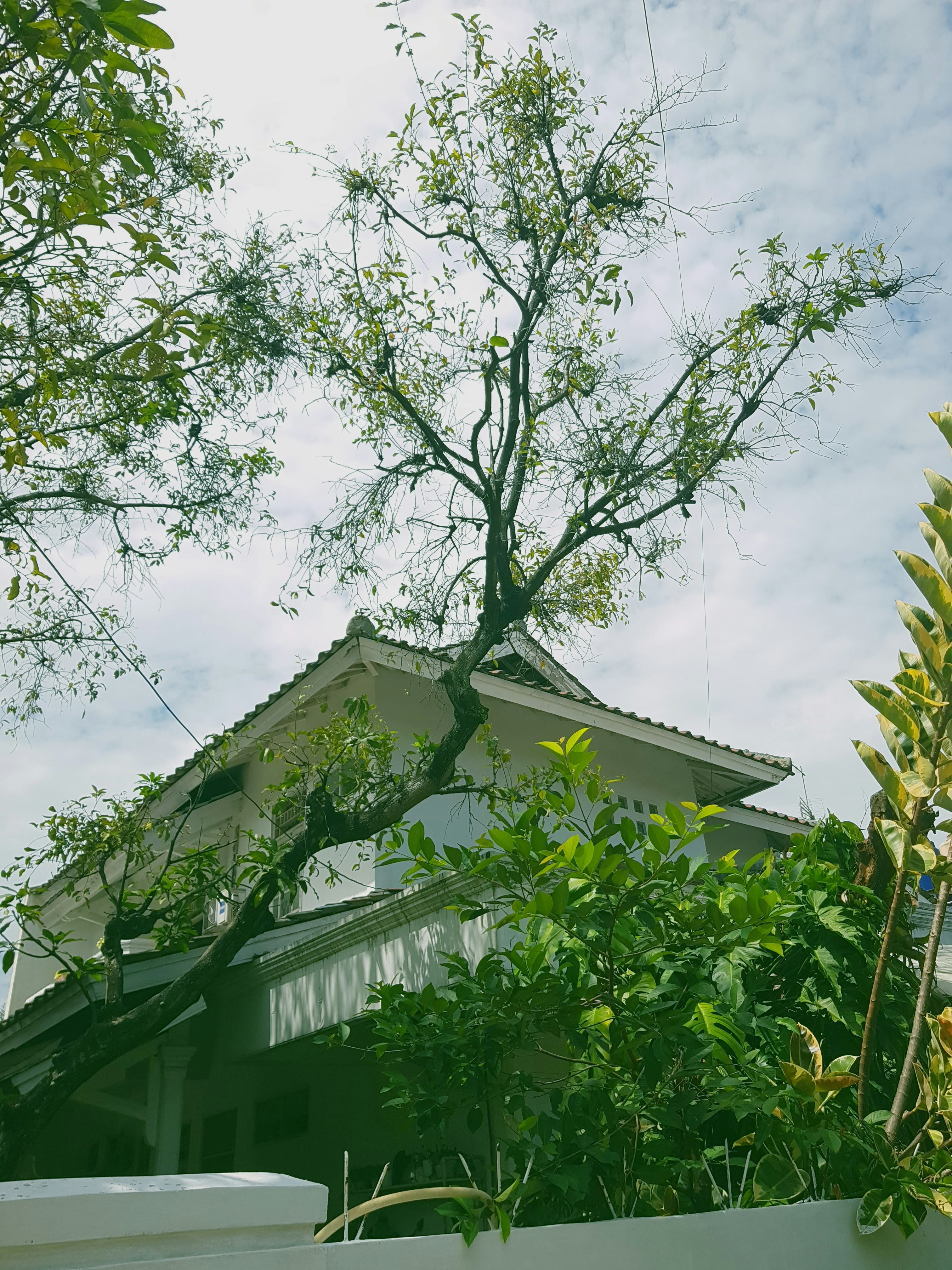 A modern house with a pitched metal roof.