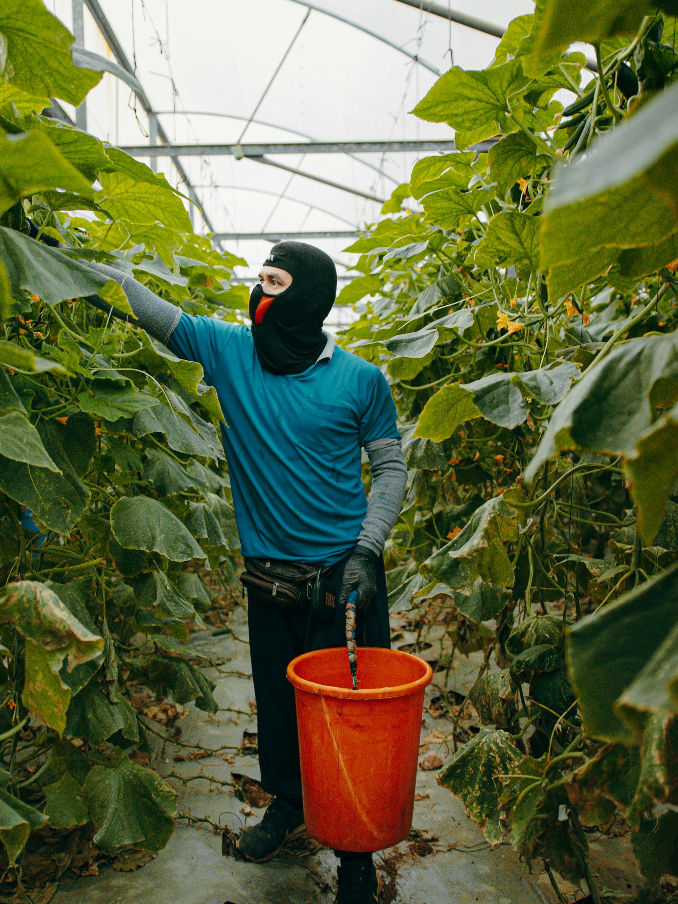 Photo by shoham_avisrur