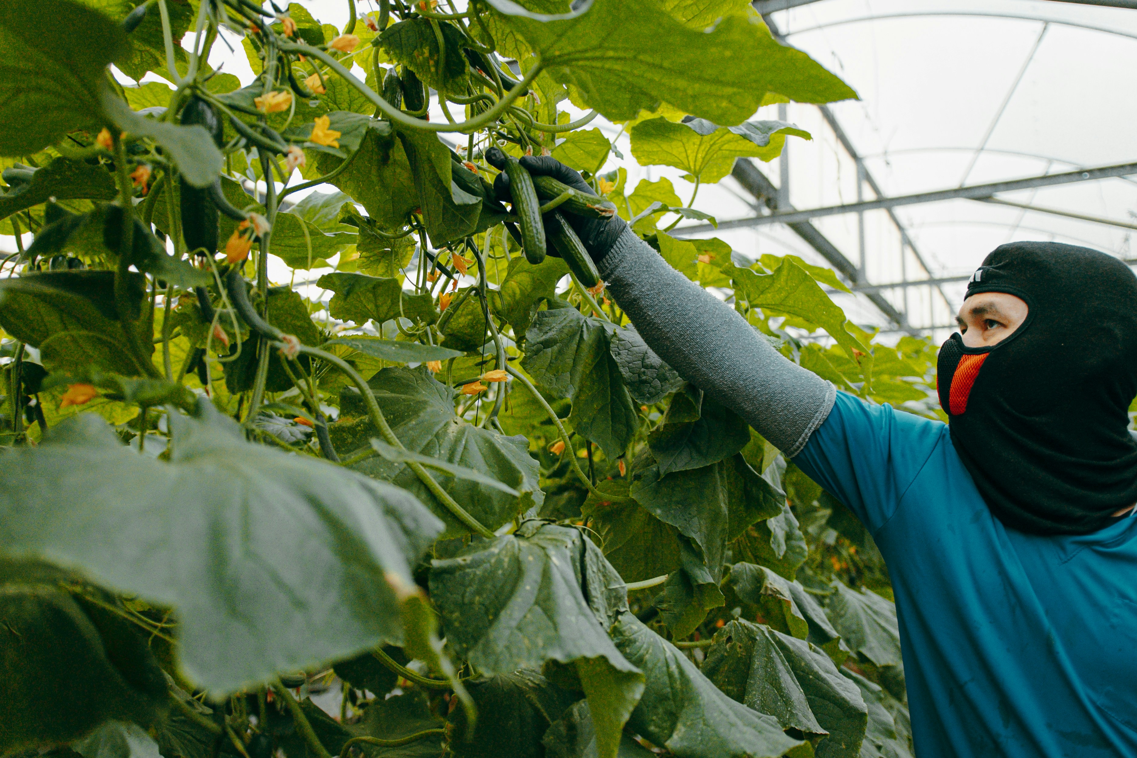 Closing the Gap: How AI Can Enhance Nutrition Communication