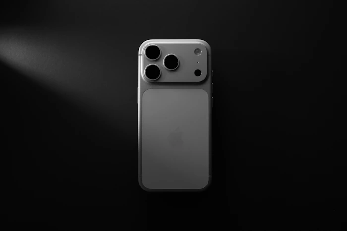 iPhone inspection