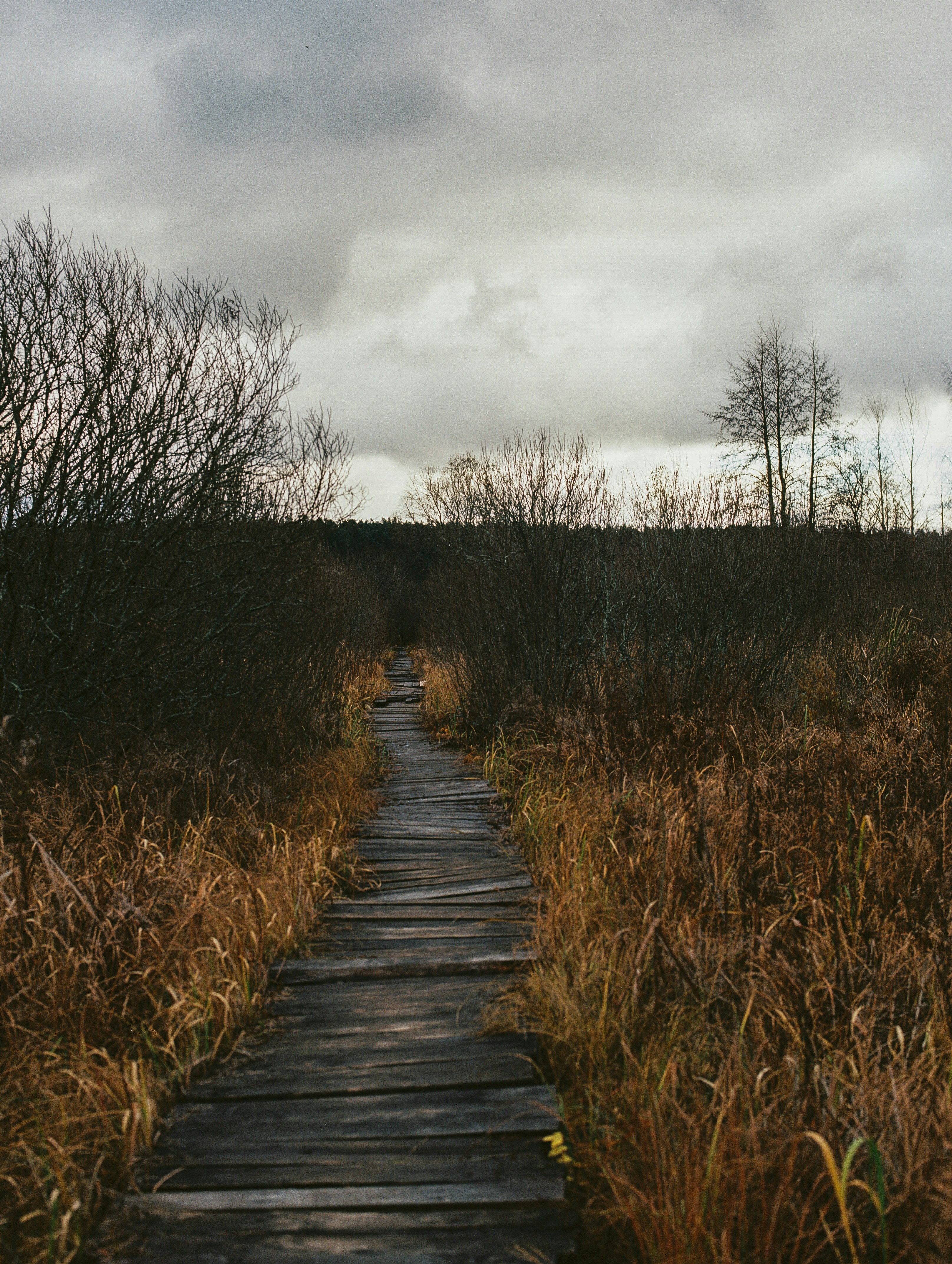 Photo by evil_bumblebee