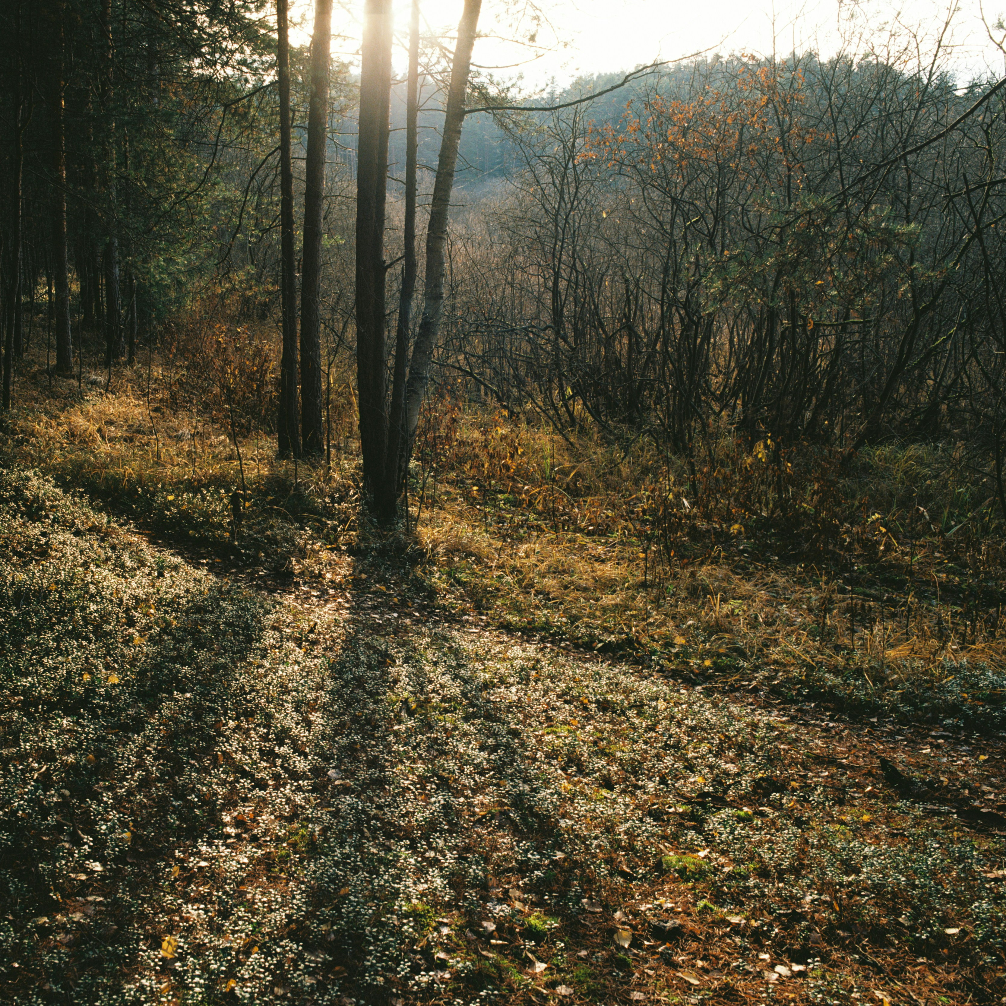 Photo by evil_bumblebee