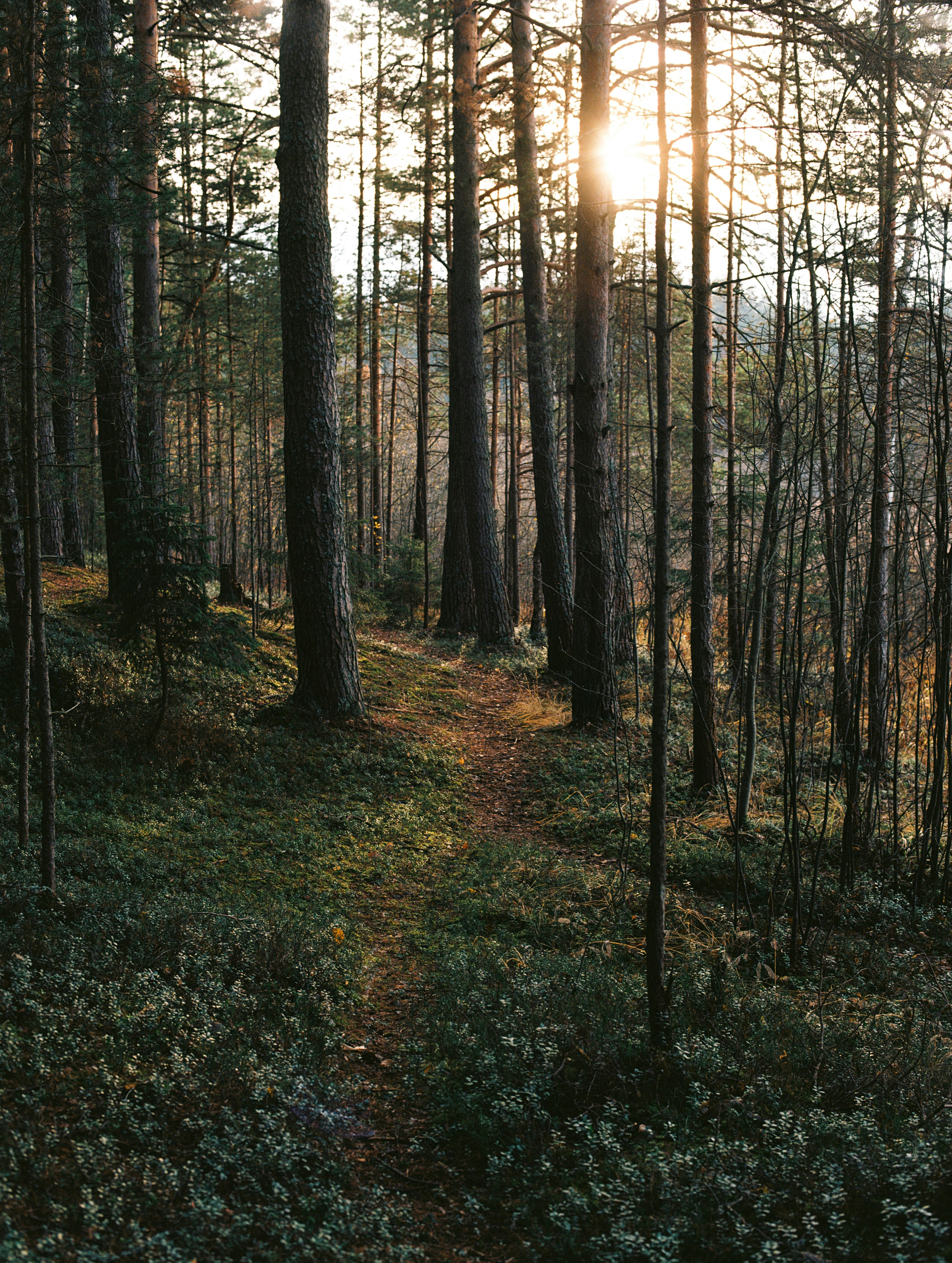 Photo by evil_bumblebee