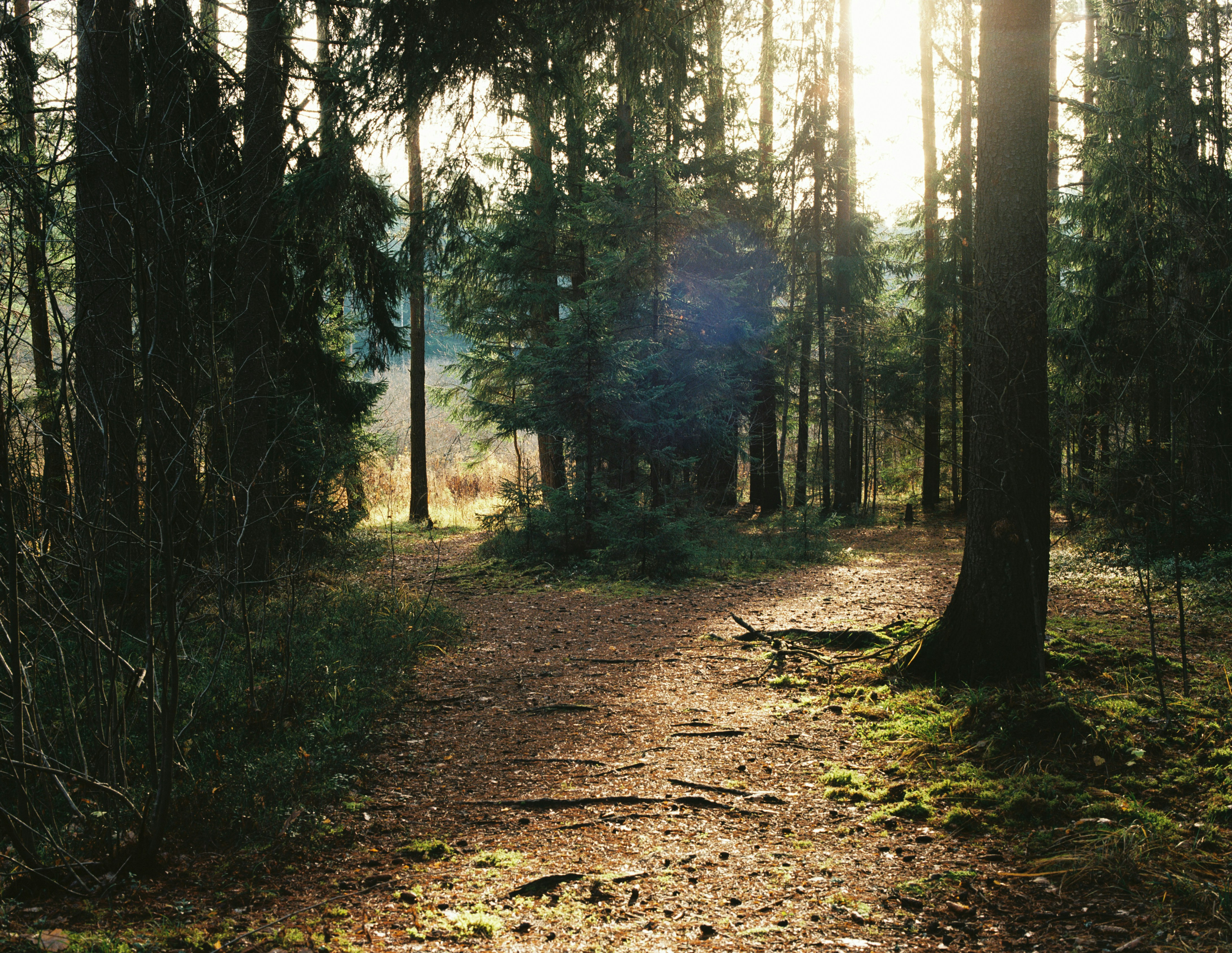 Photo by evil_bumblebee