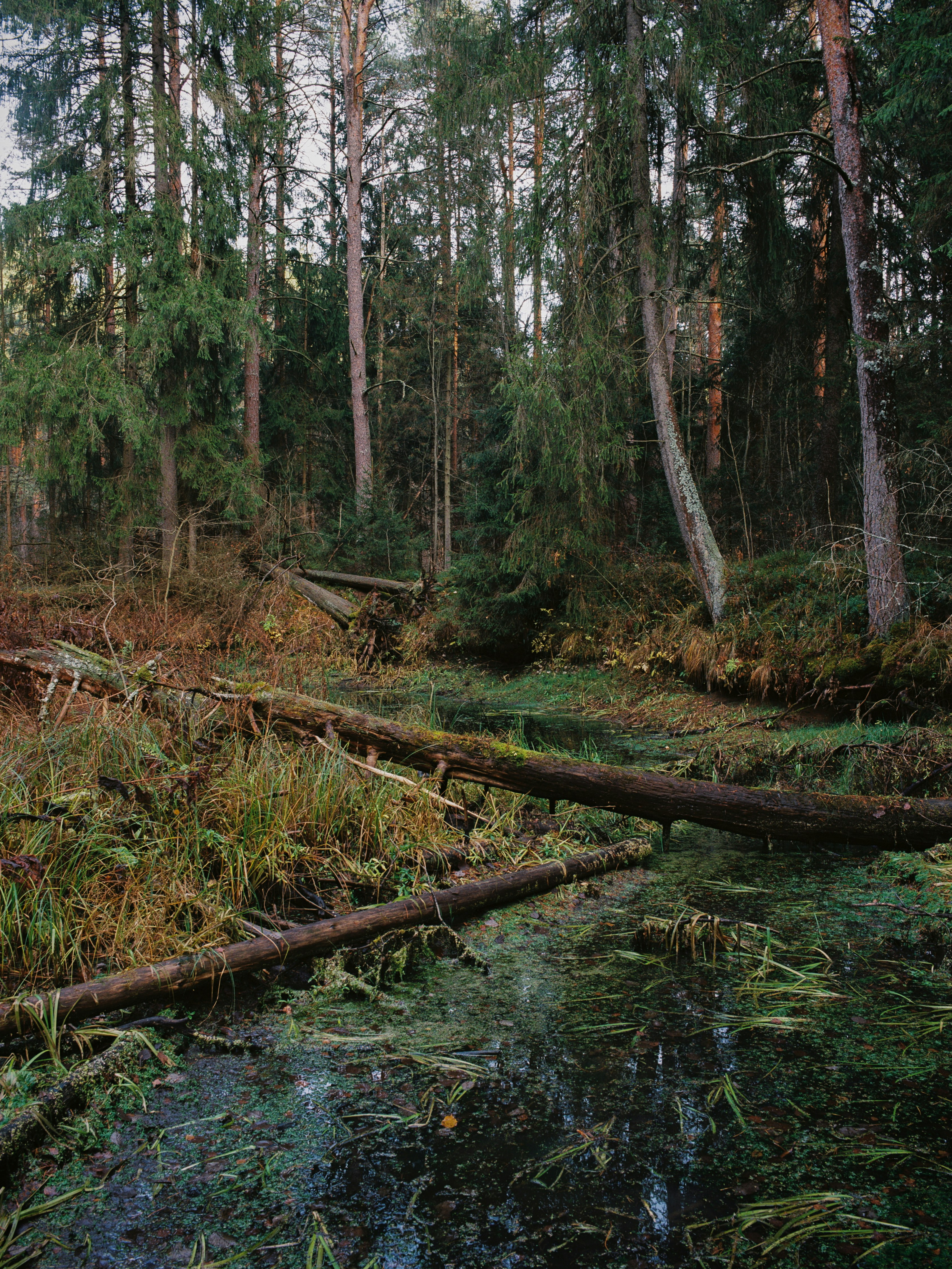 Photo by evil_bumblebee