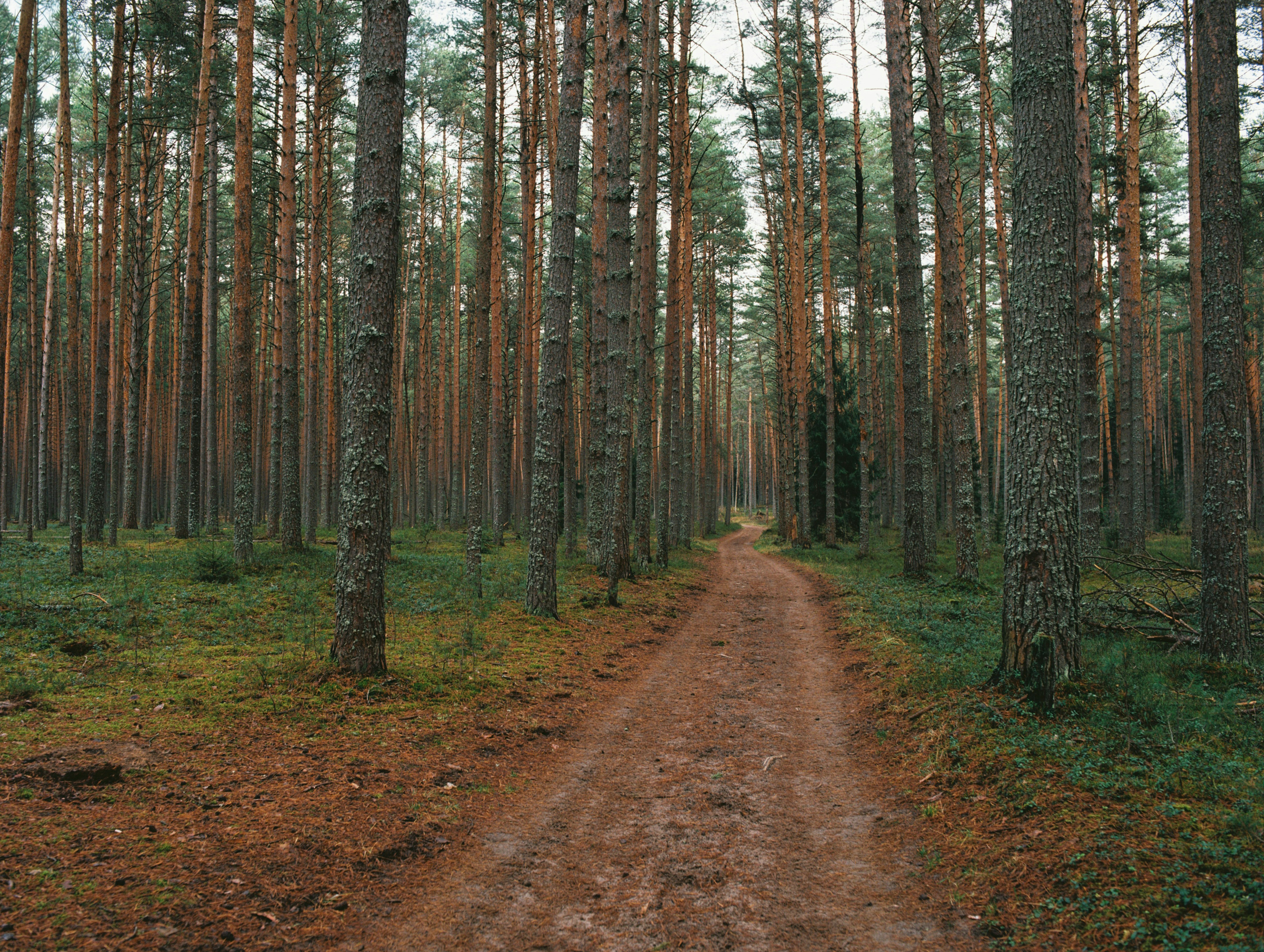 Photo by evil_bumblebee