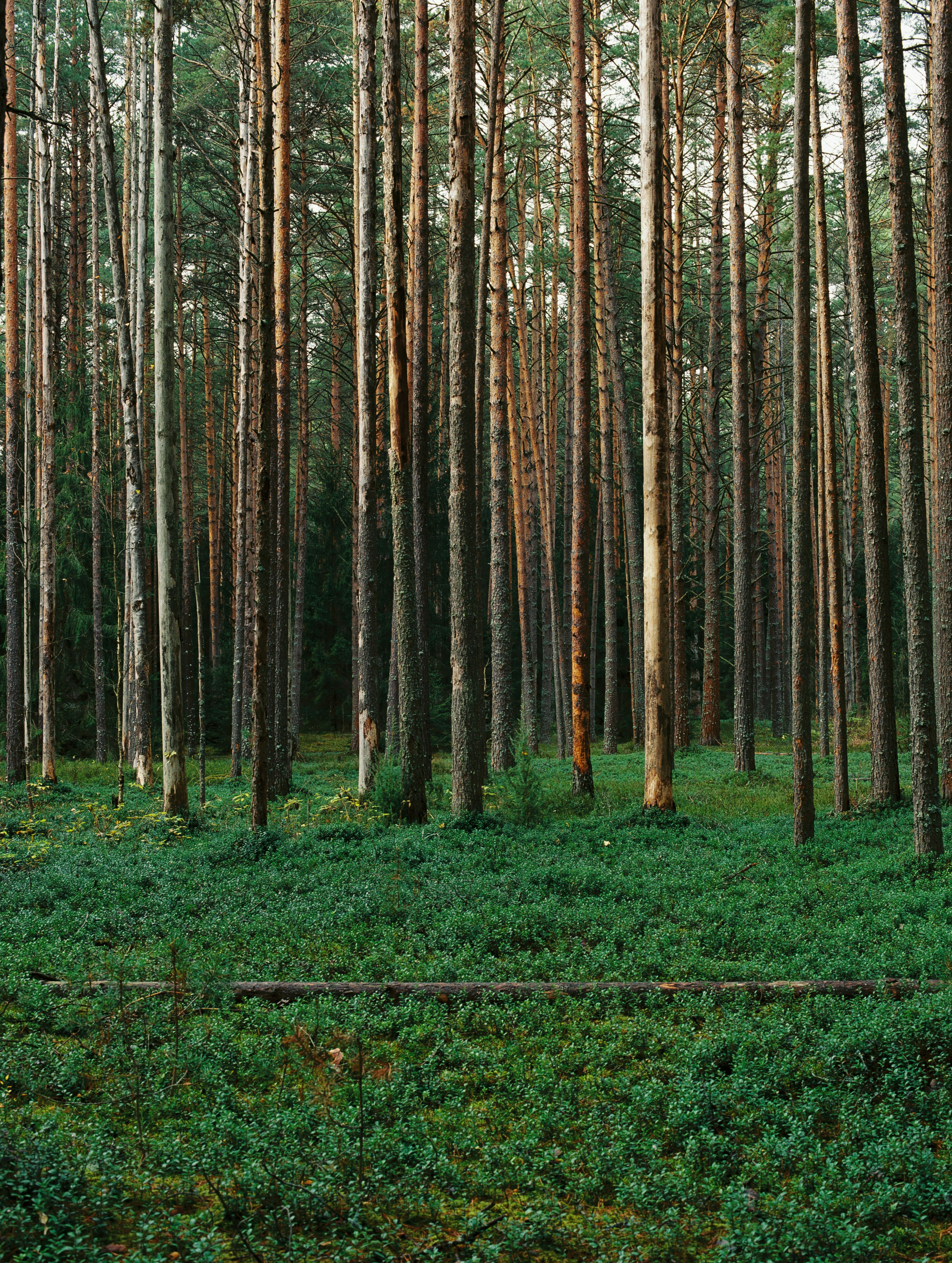 Photo by evil_bumblebee