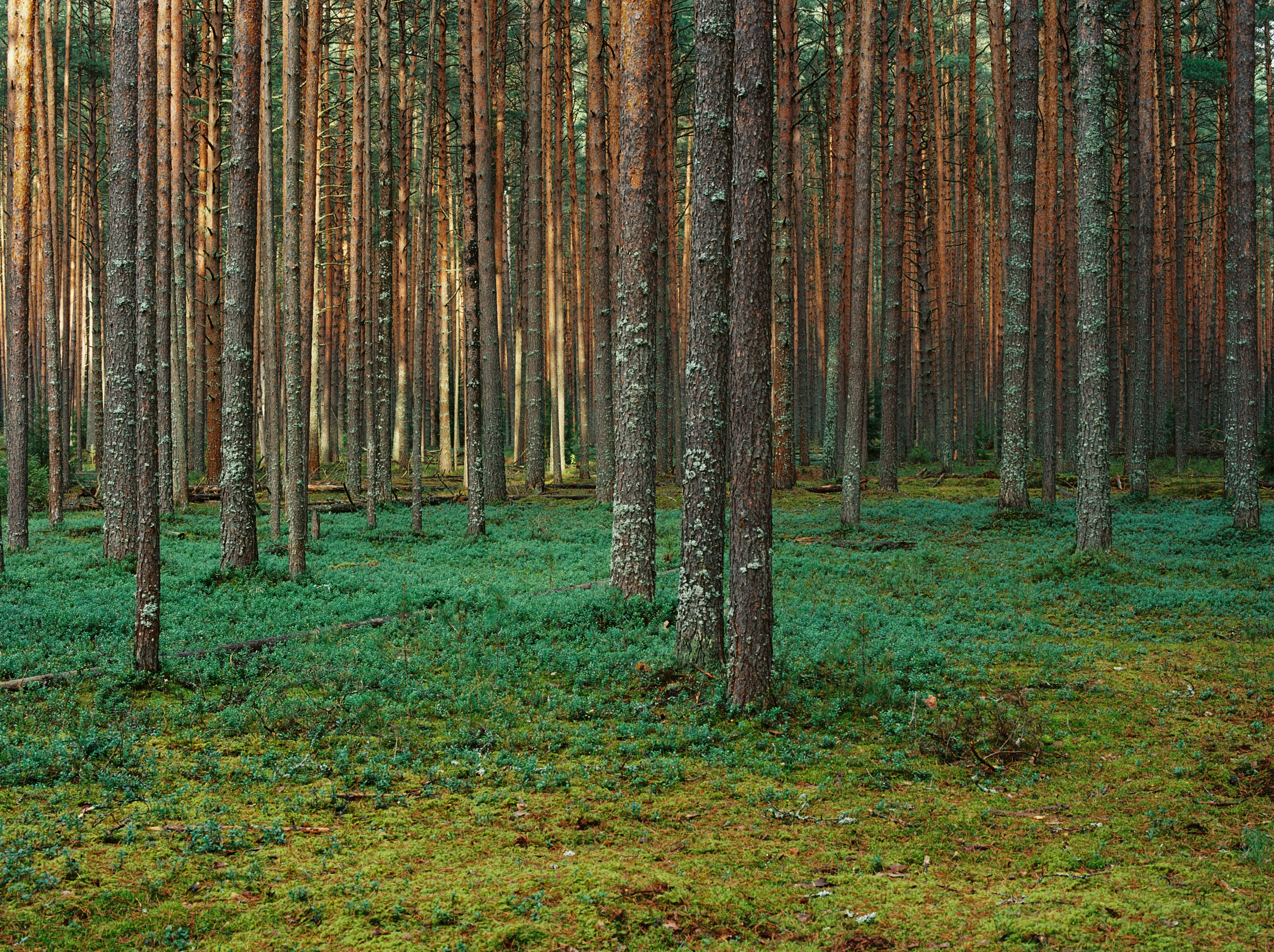 Photo by evil_bumblebee