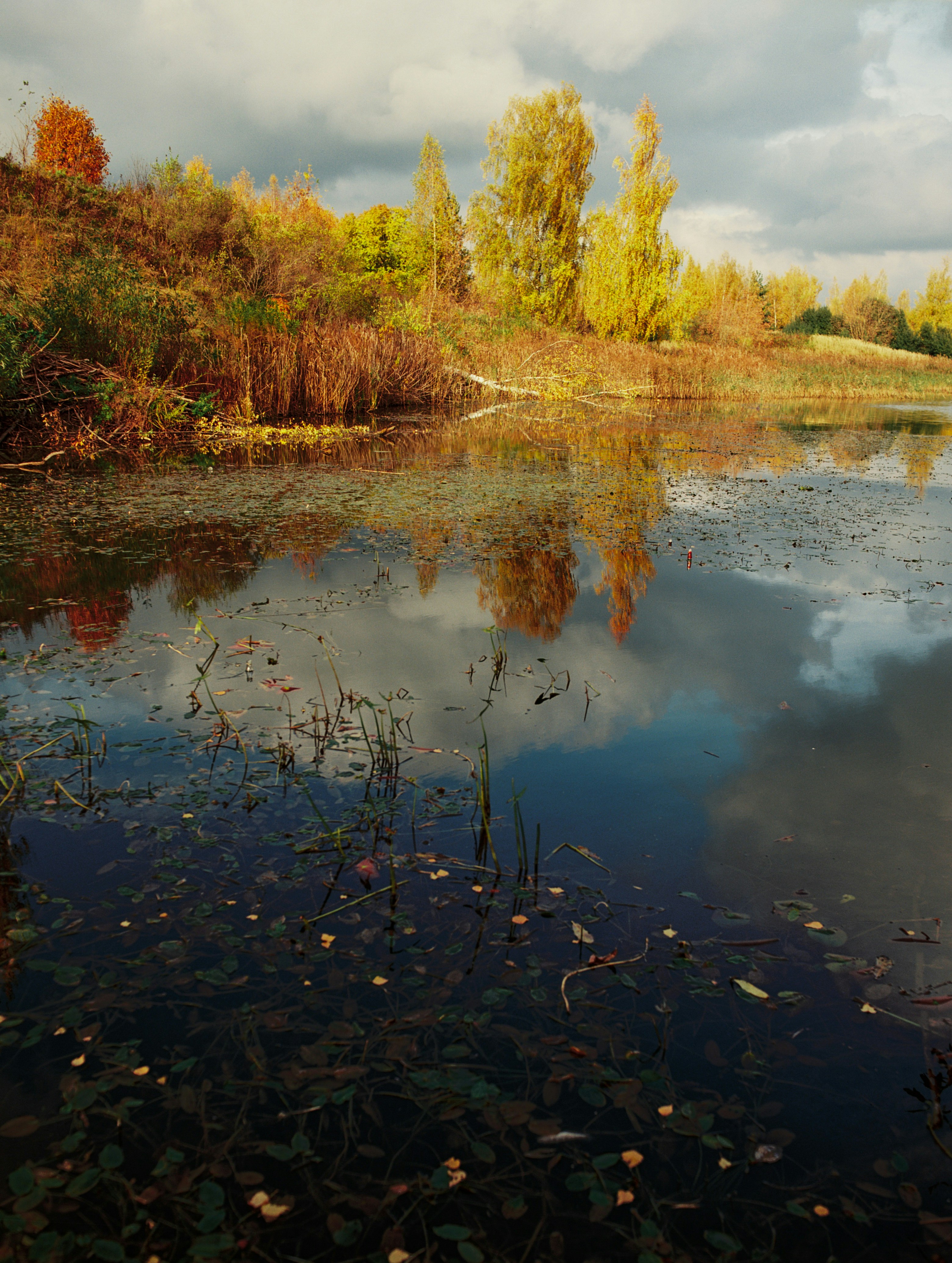 Photo by evil_bumblebee