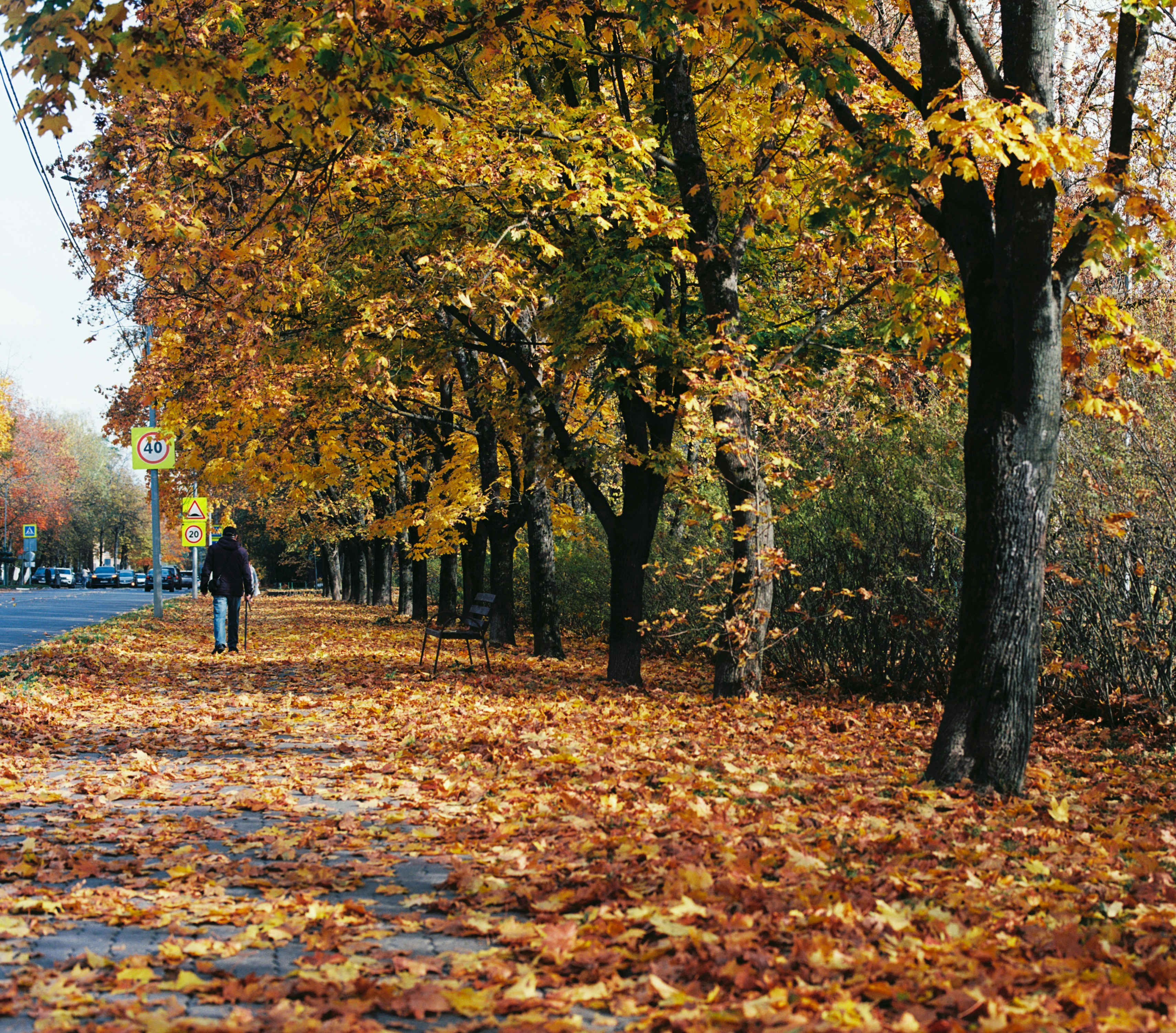 Photo by evil_bumblebee