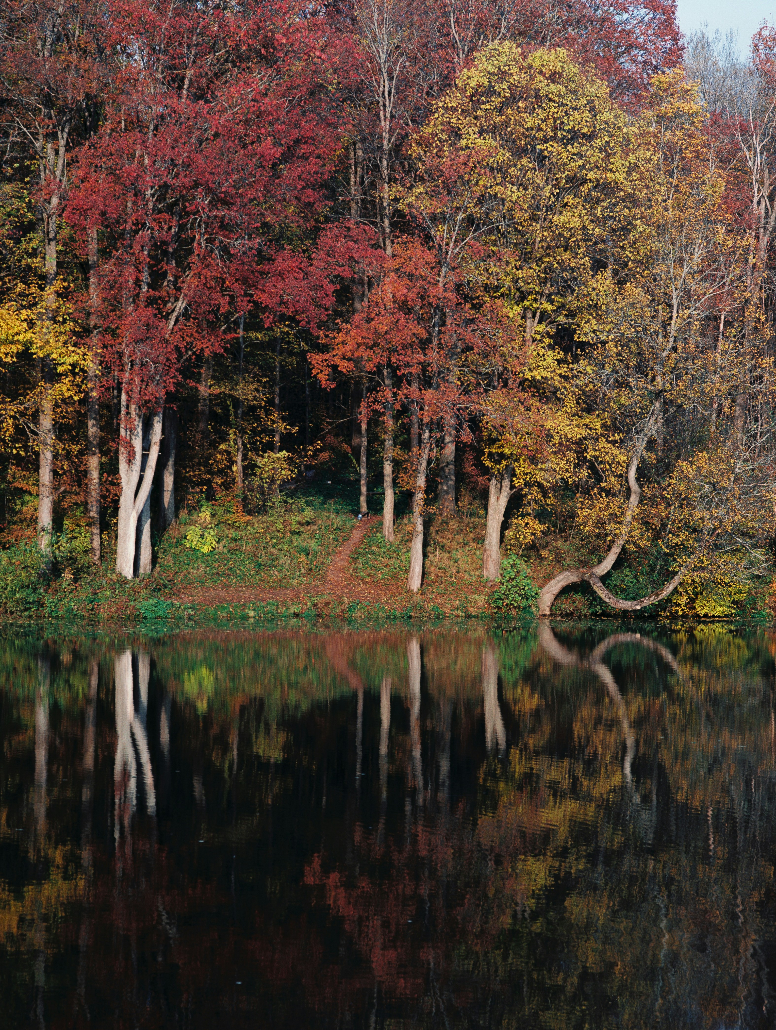 Photo by evil_bumblebee