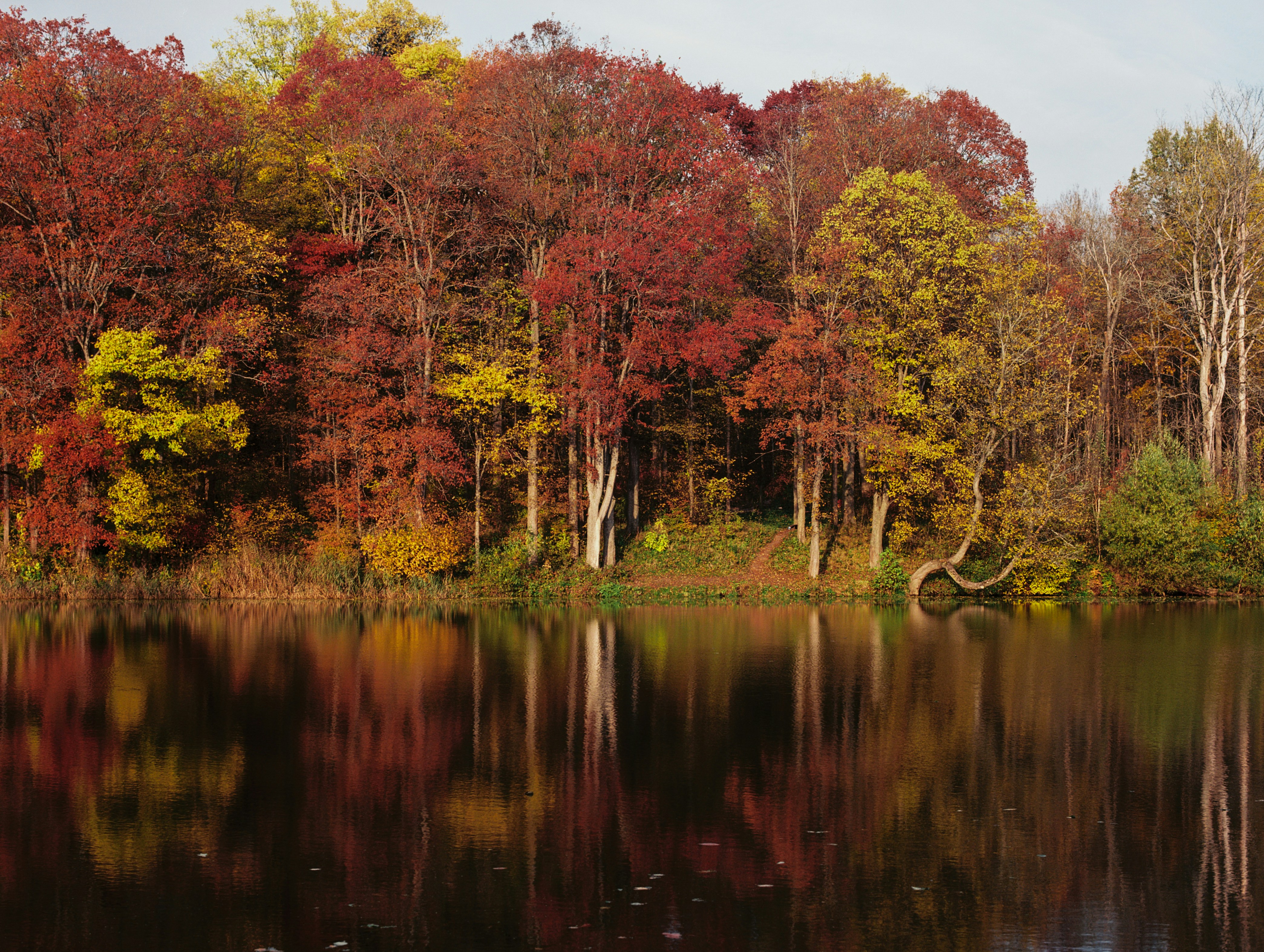 Photo by evil_bumblebee