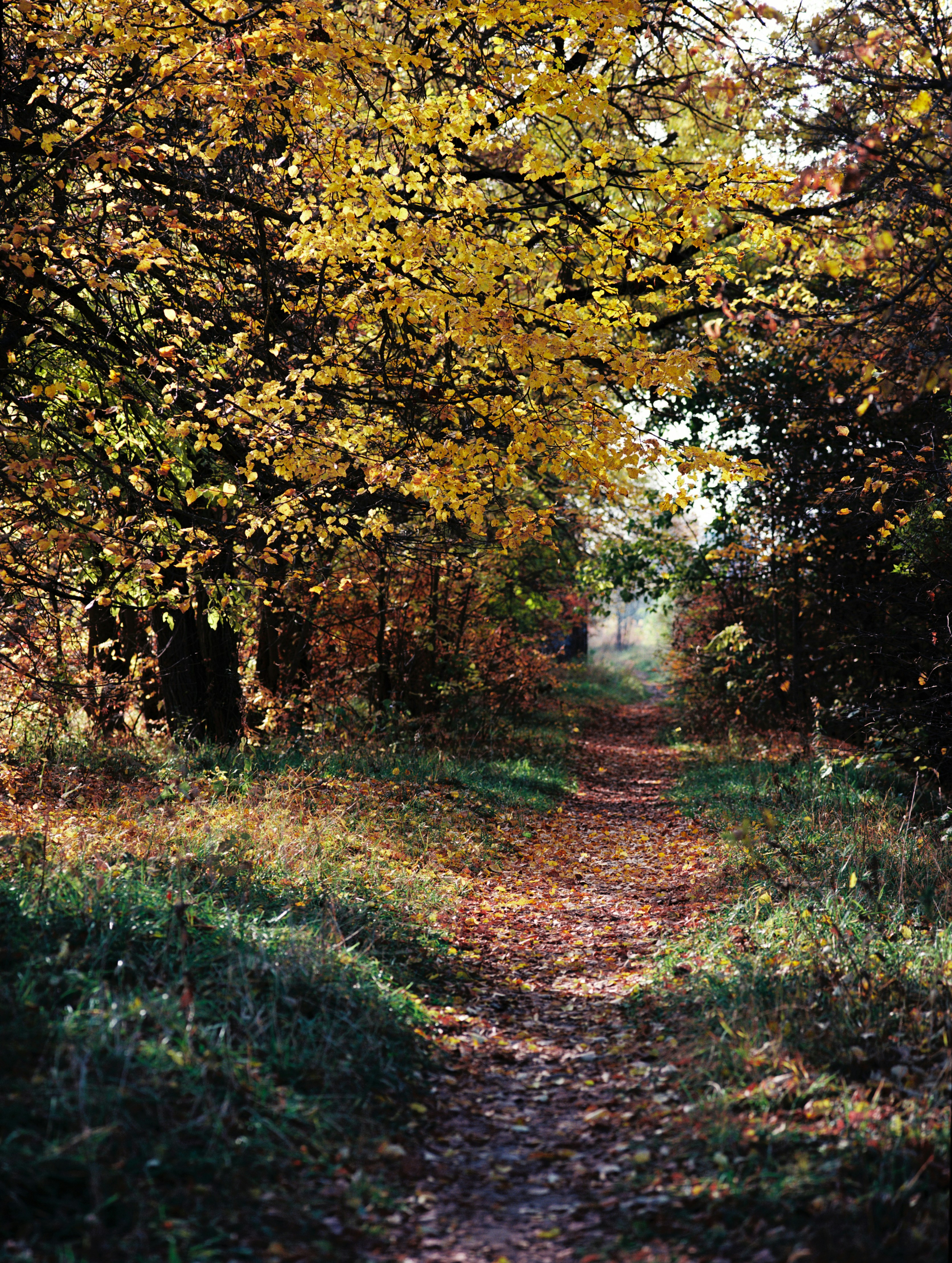 Photo by evil_bumblebee