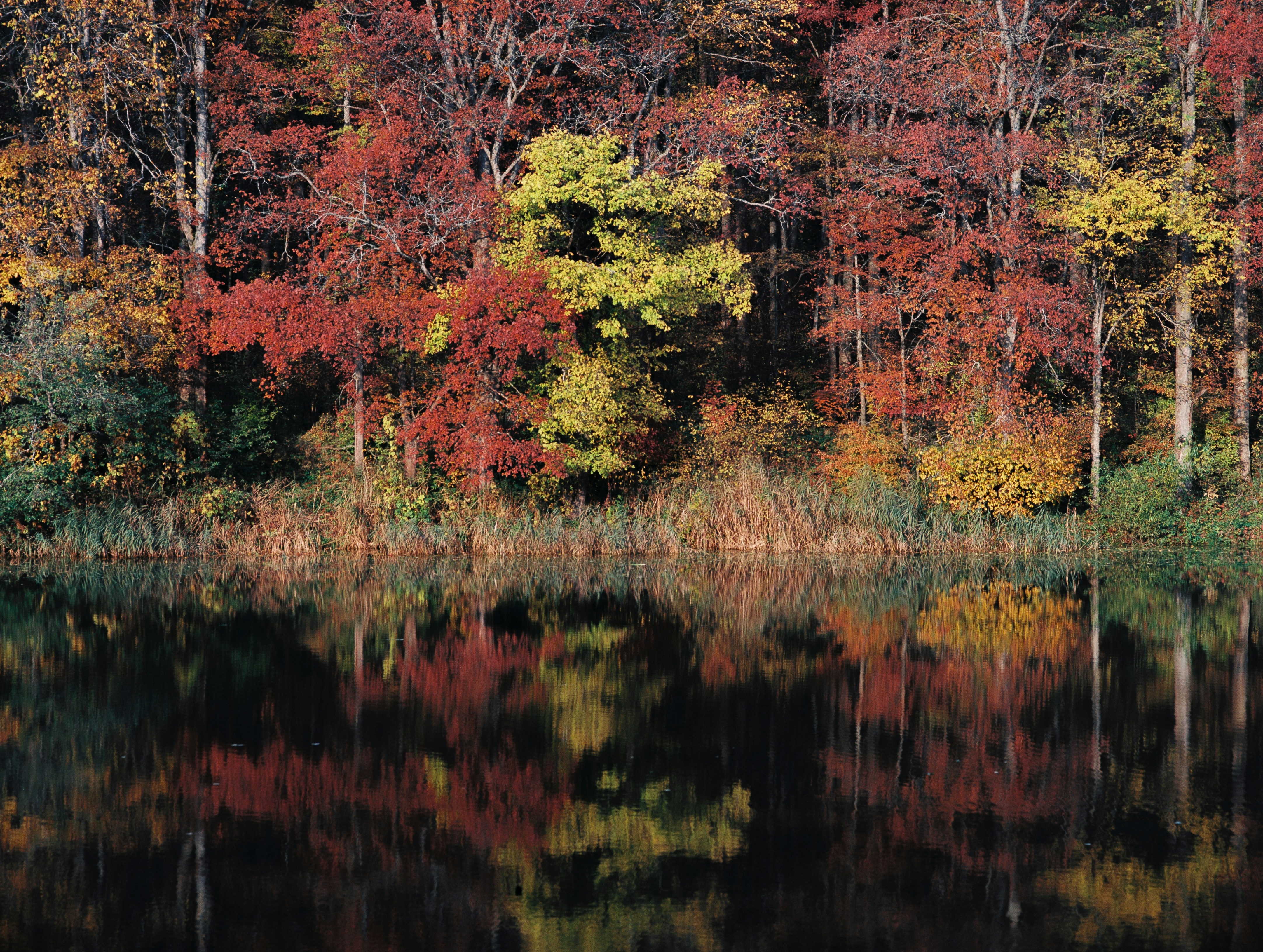 Photo by evil_bumblebee