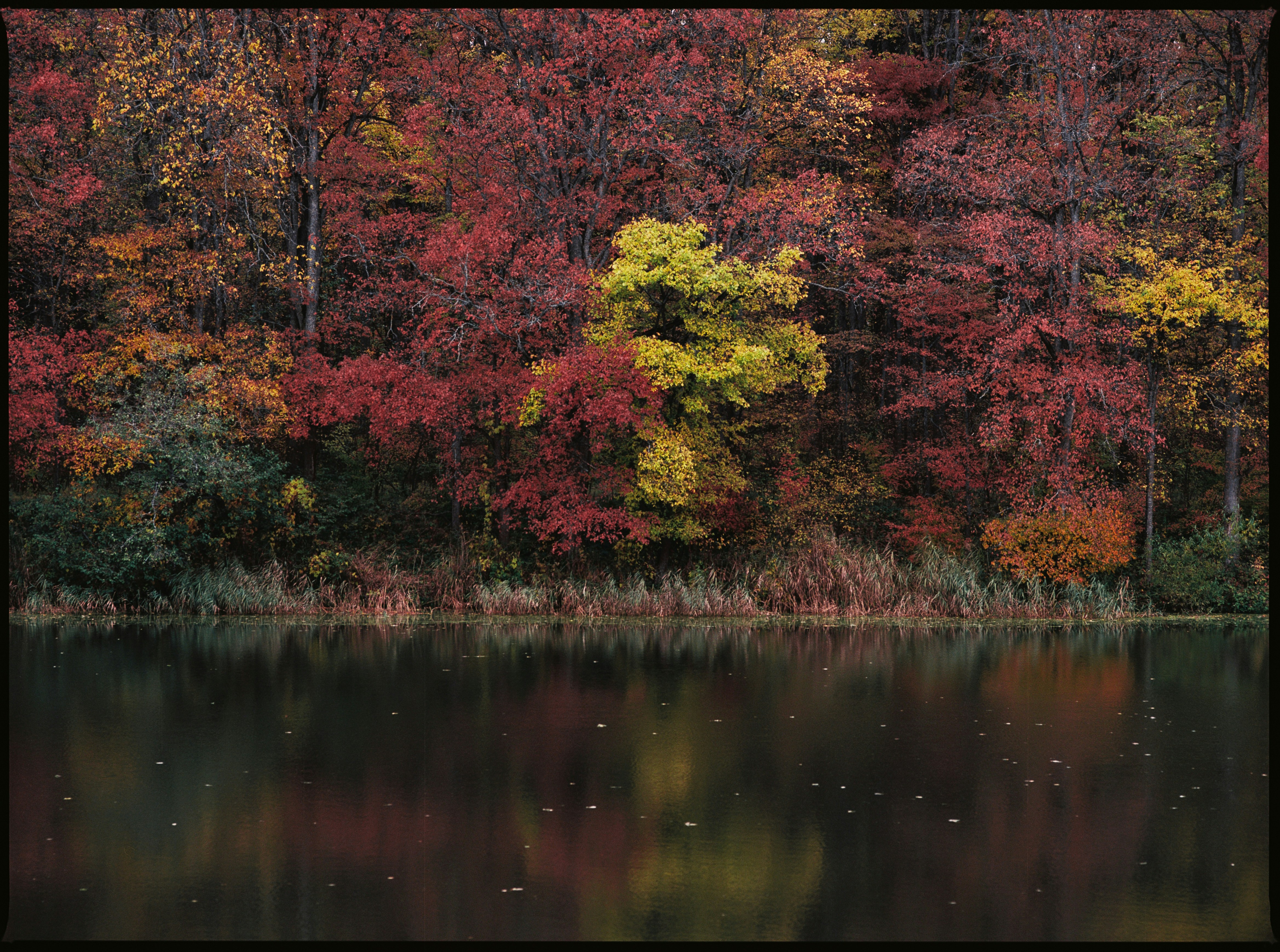 Photo by evil_bumblebee