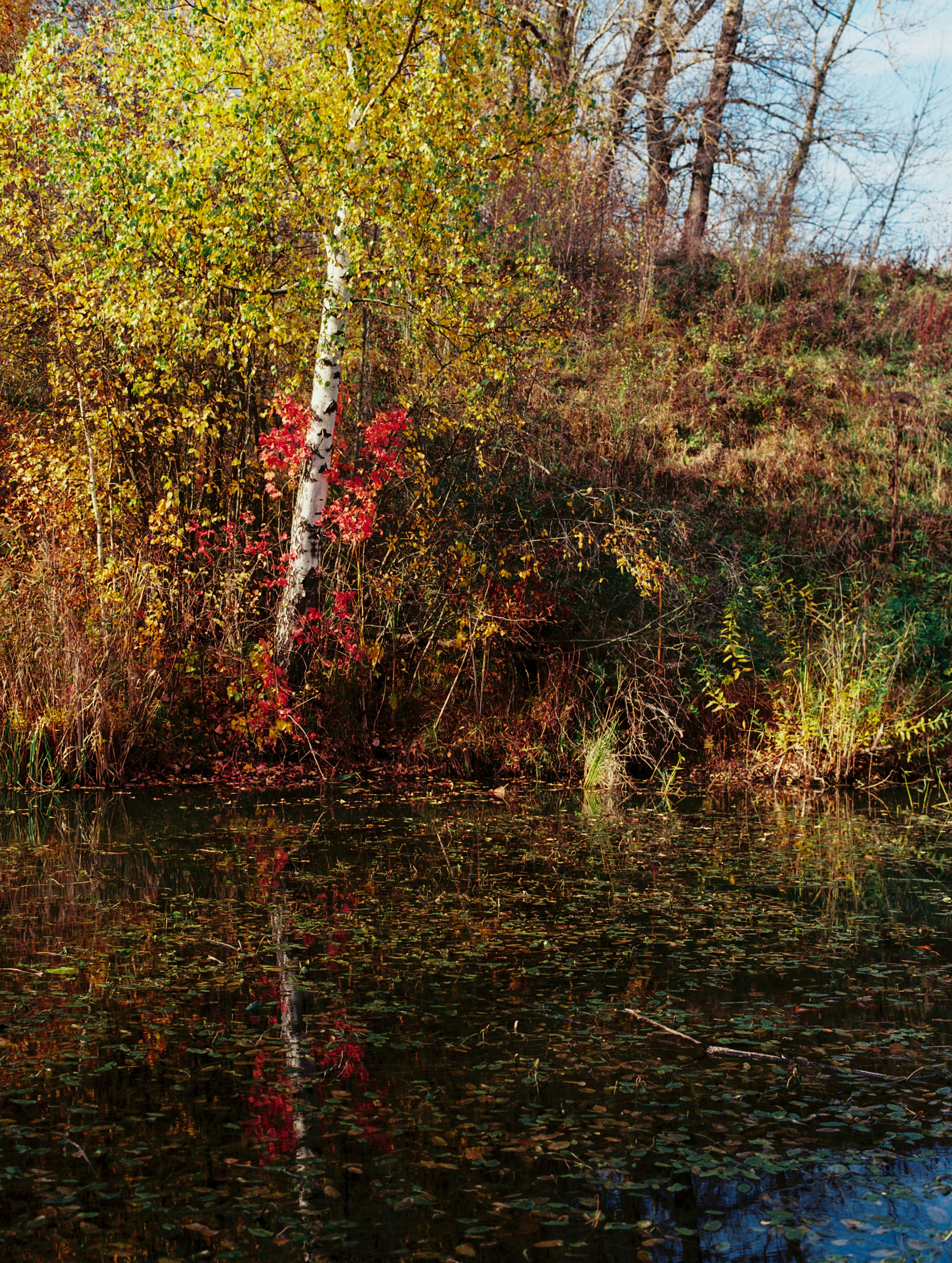 Photo by evil_bumblebee