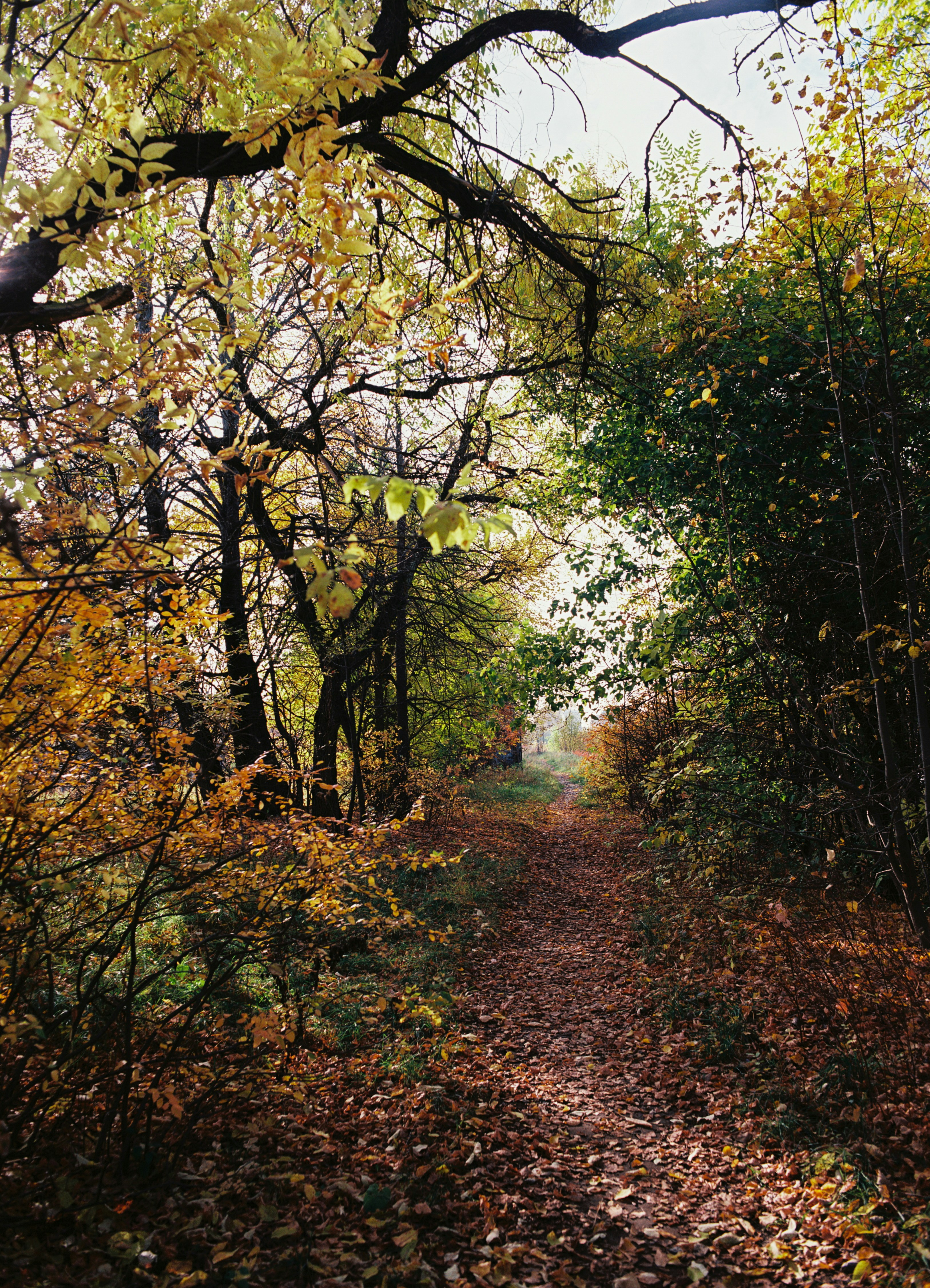 Photo by evil_bumblebee