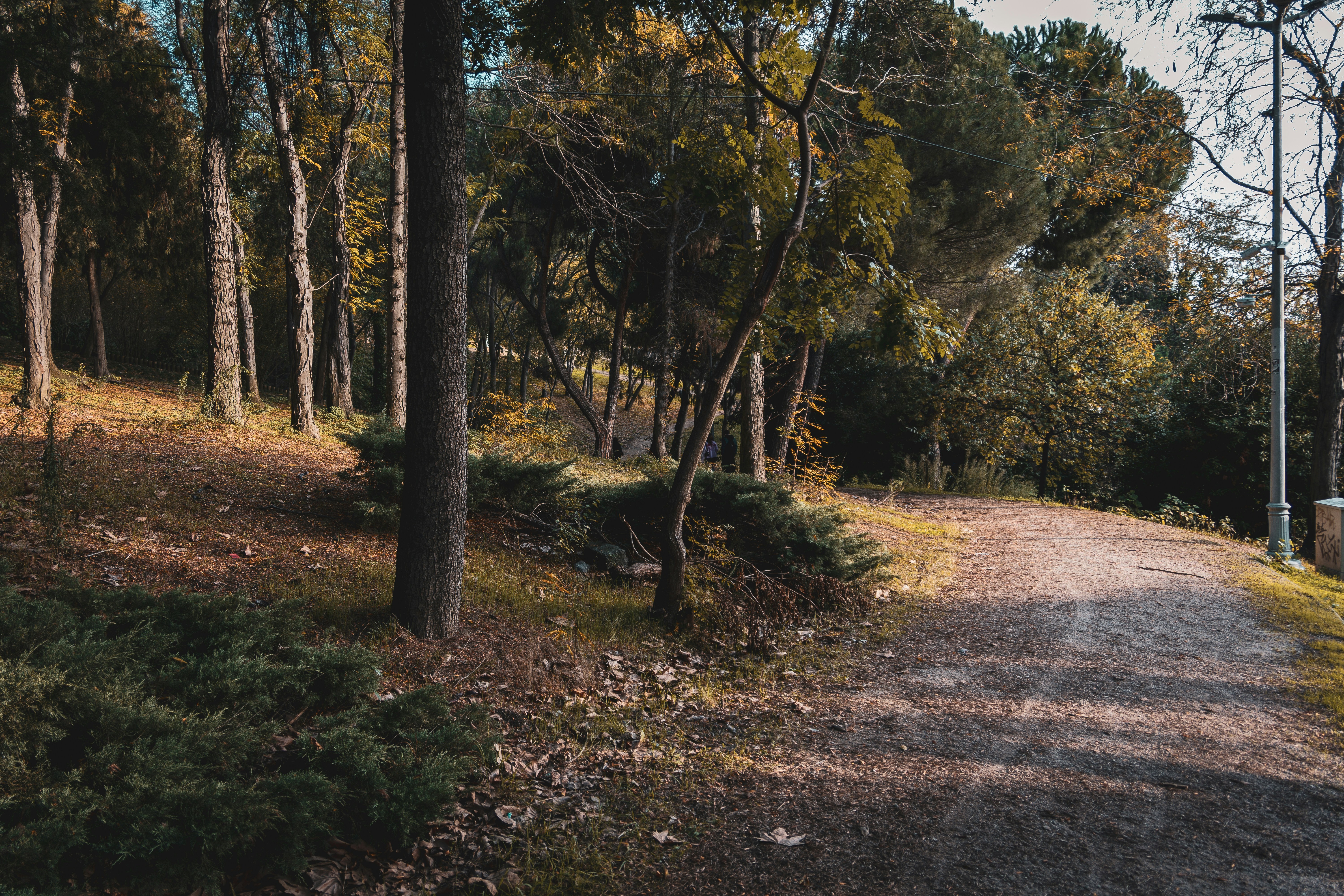 Photo by tunahankuzgun