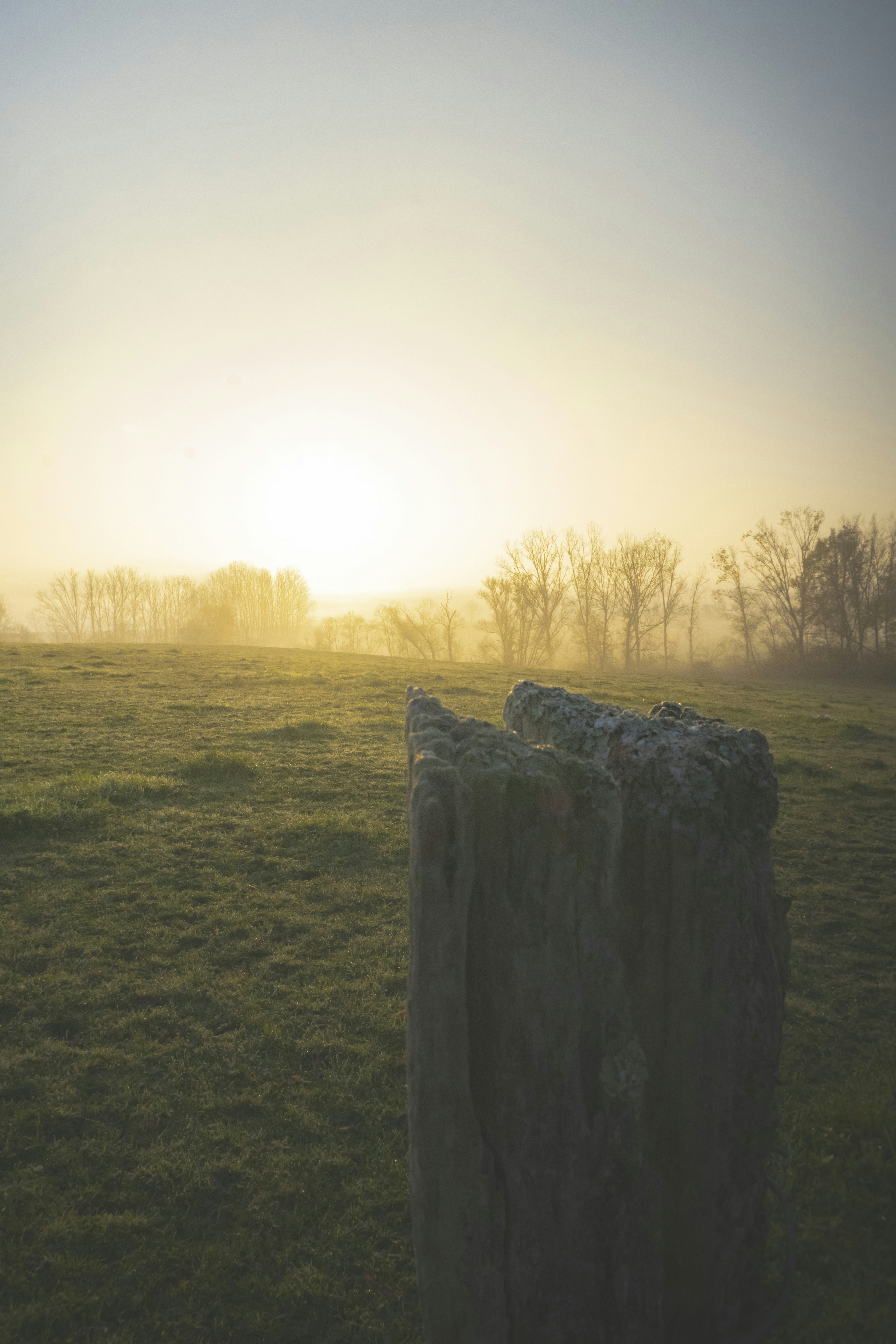 Photo by frederic_lobrutto