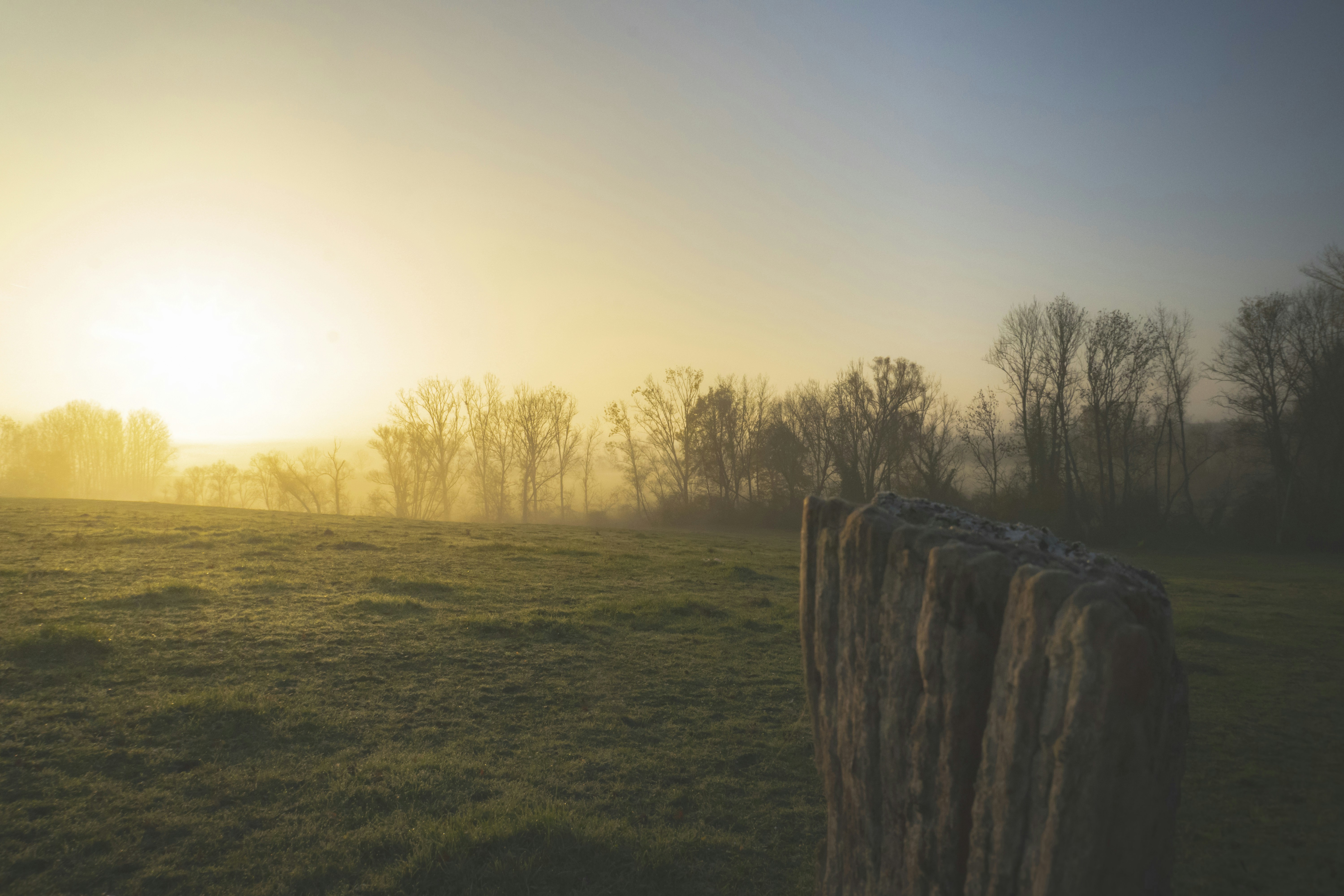 Photo by frederic_lobrutto