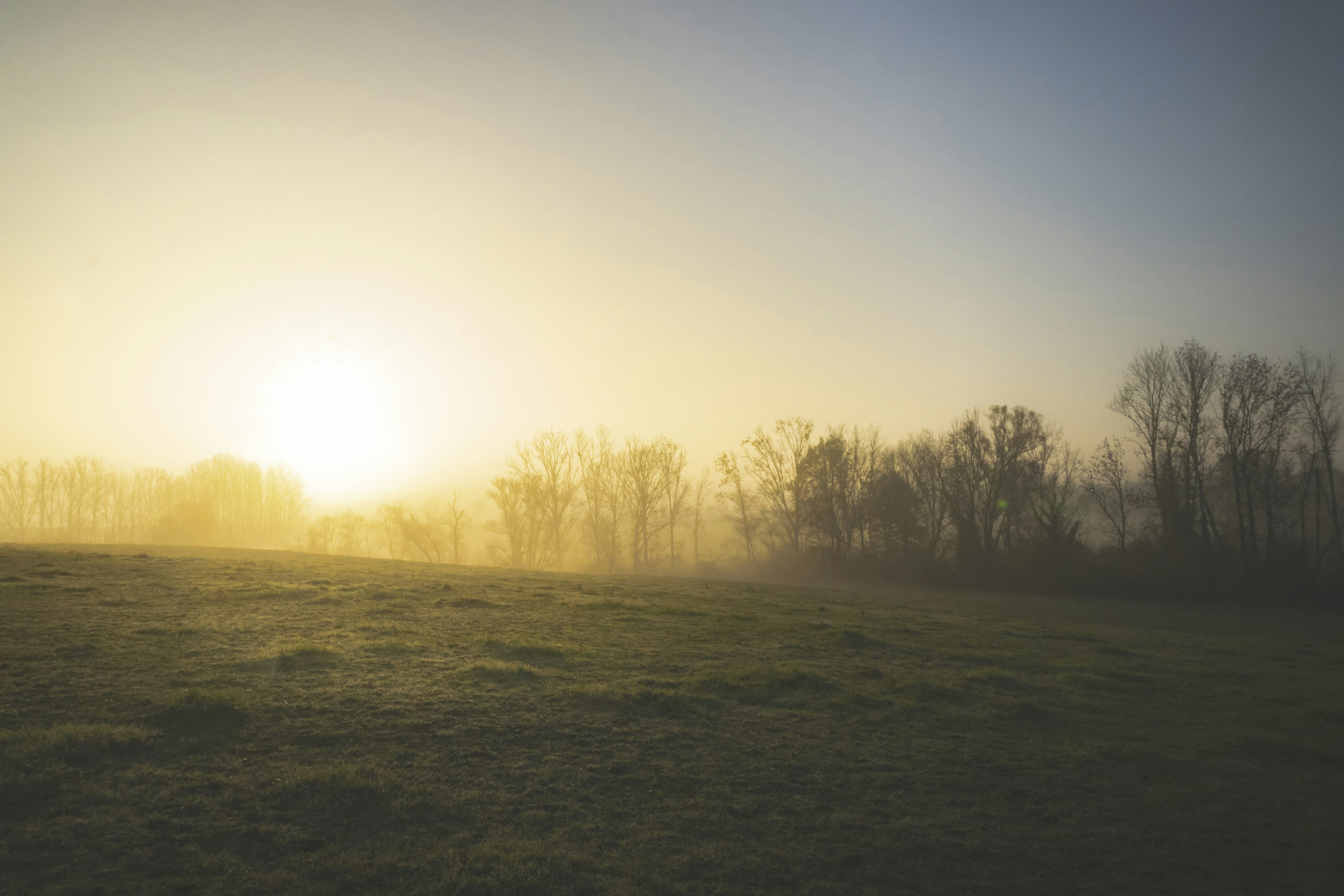 Photo by frederic_lobrutto