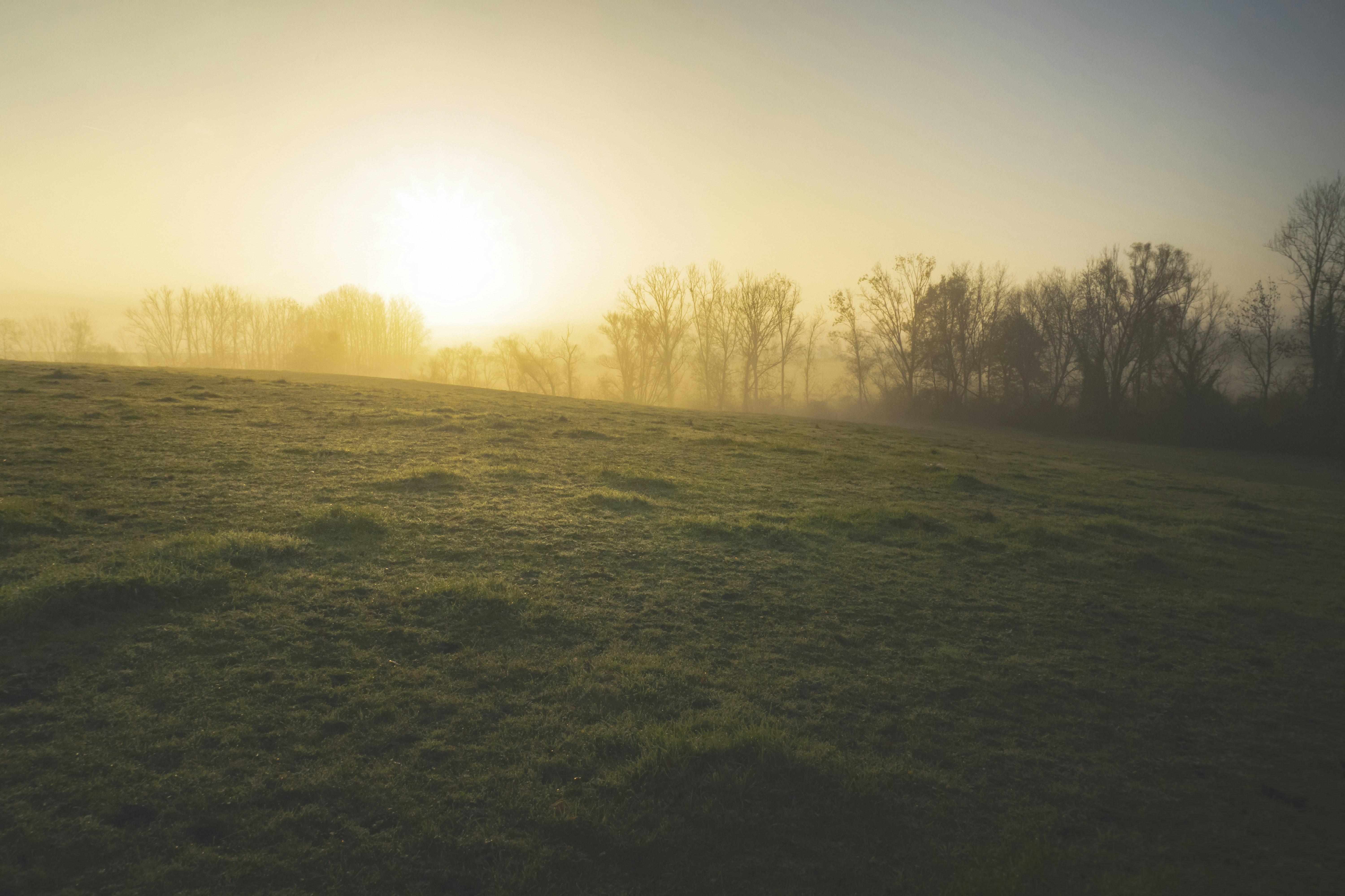 Photo by frederic_lobrutto